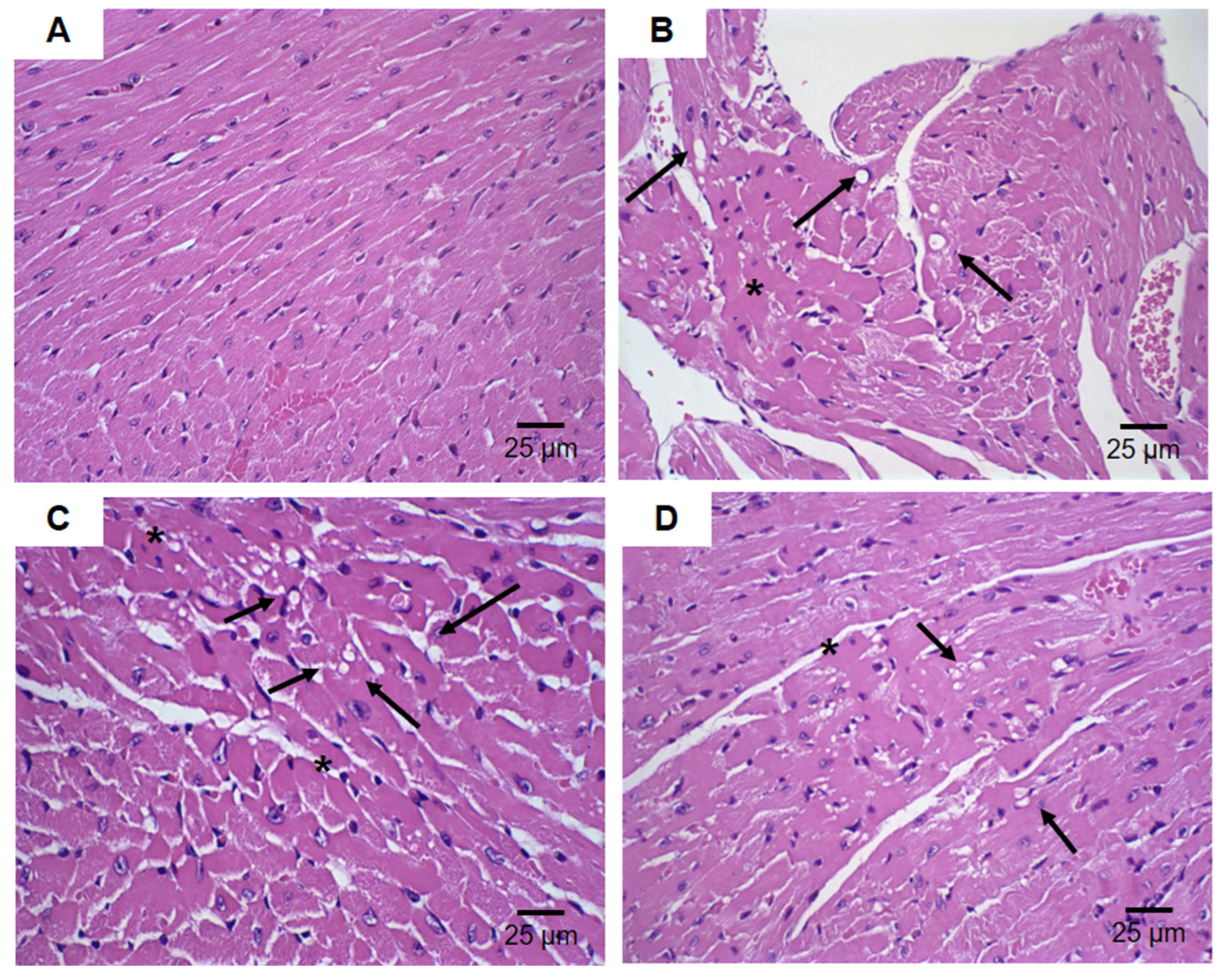 Pharmaceutics 16 00739 g012