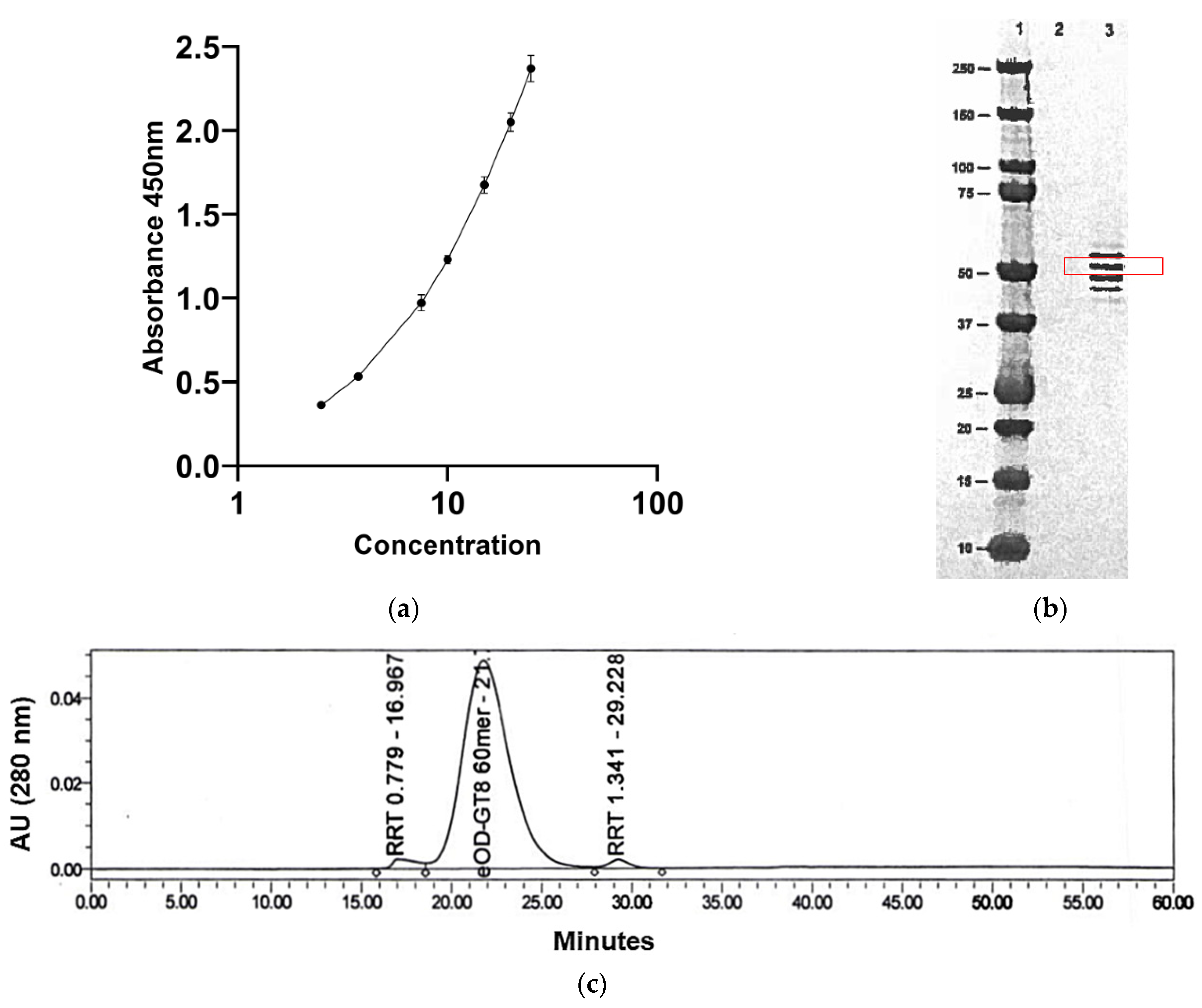 Pharmaceutics 16 00742 g002a