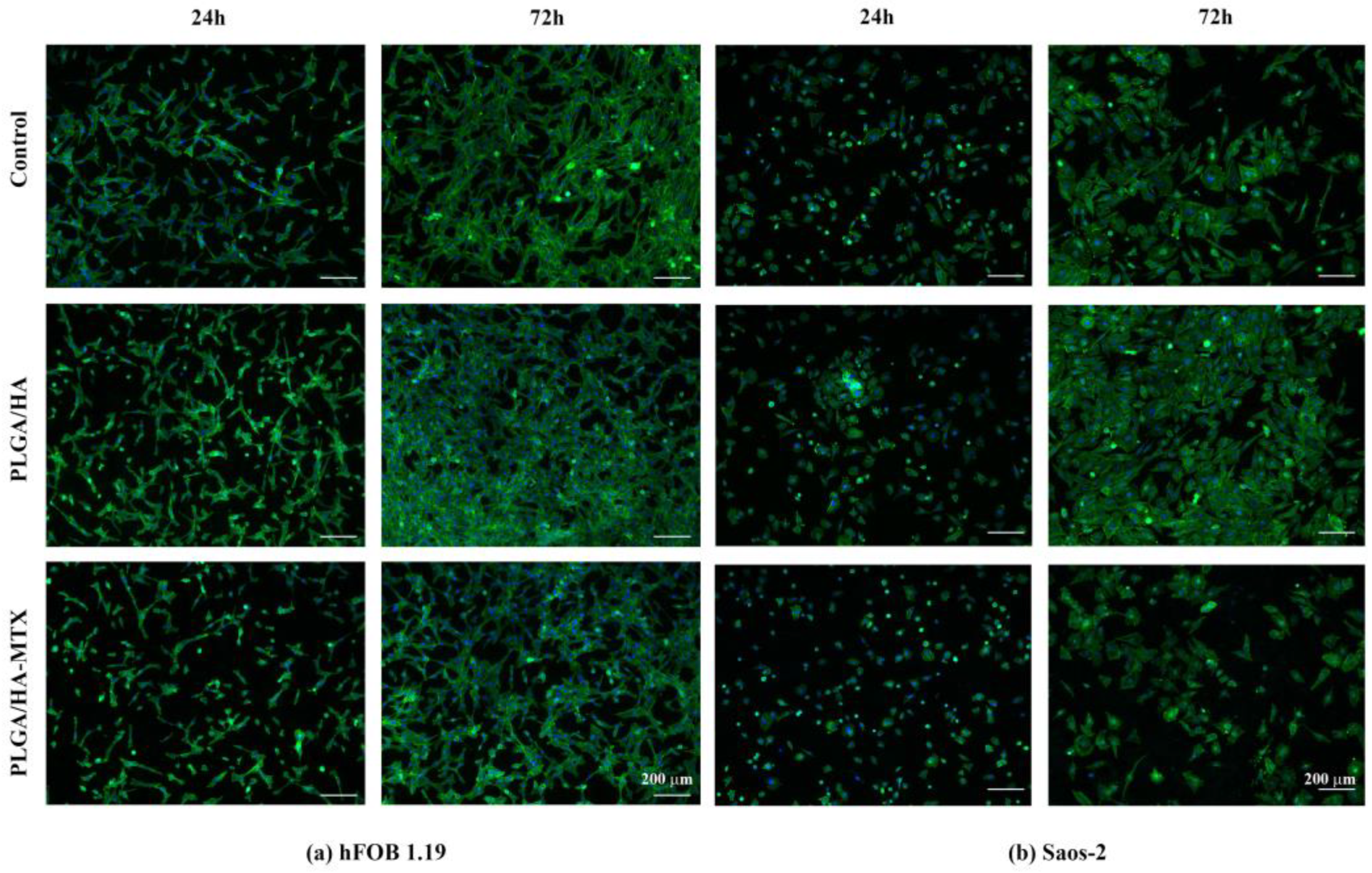 Pharmaceutics 16 00754 g008