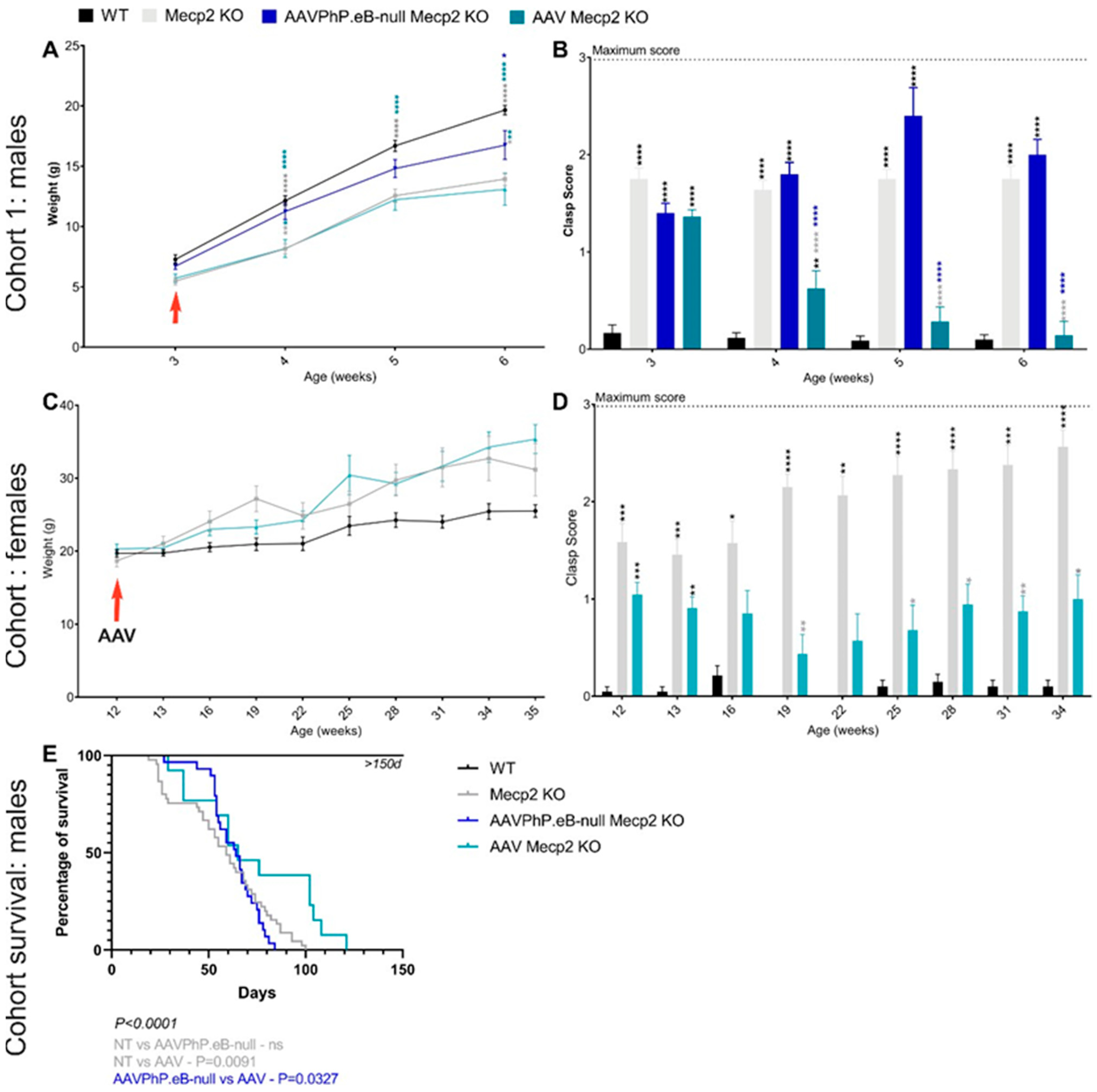 Pharmaceutics 16 00756 g005