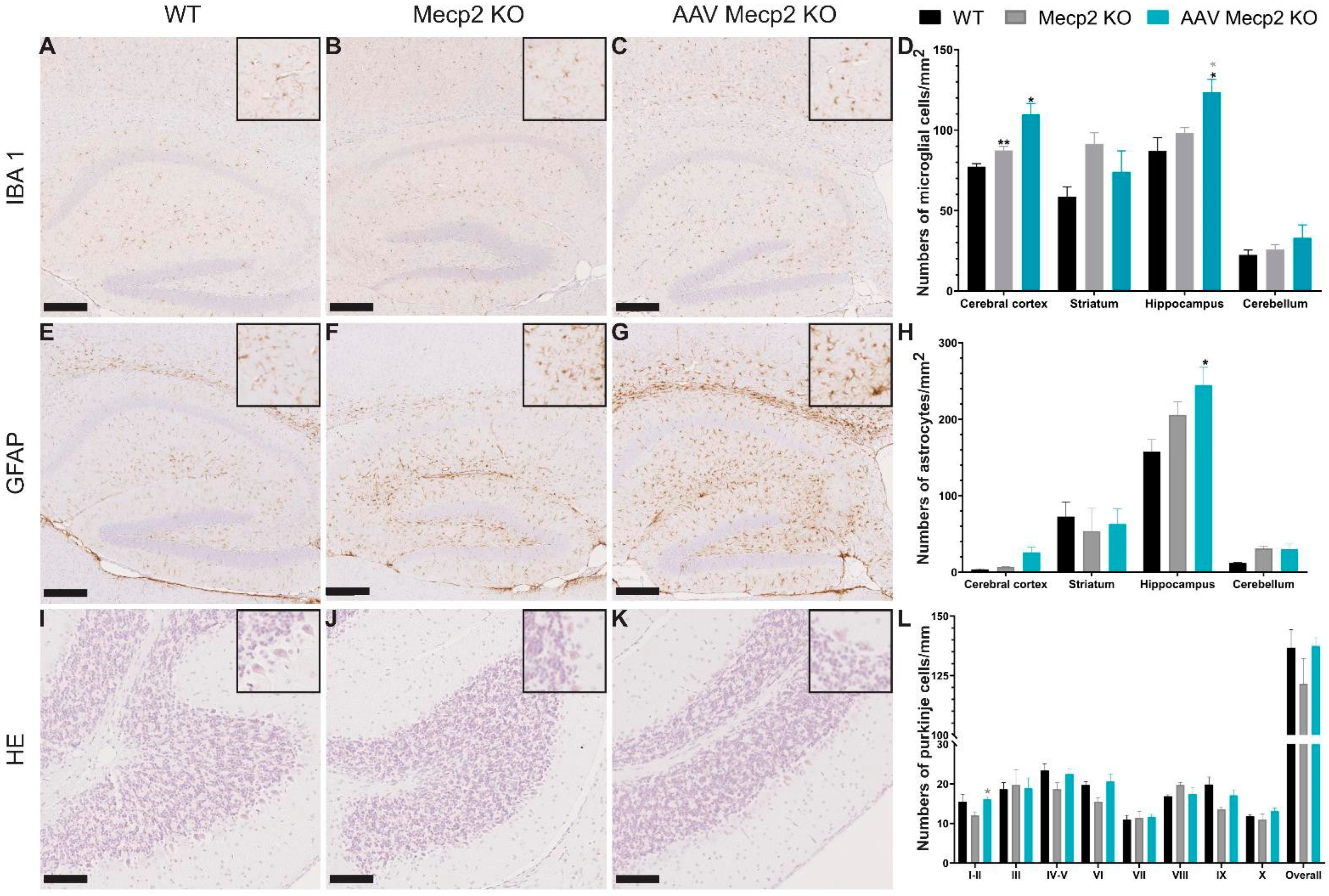 Pharmaceutics 16 00756 g007