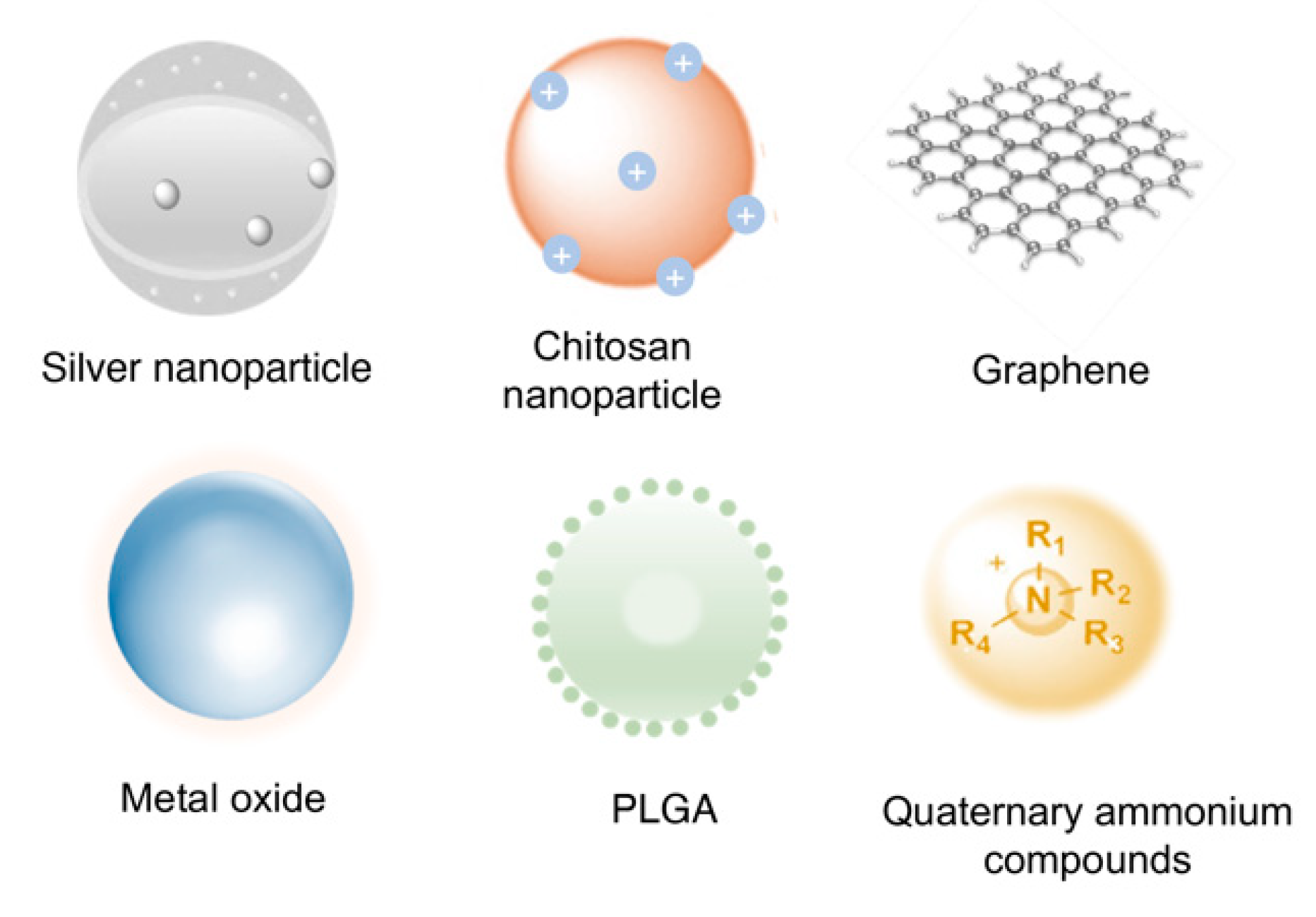 Pharmaceutics 16 00759 g005