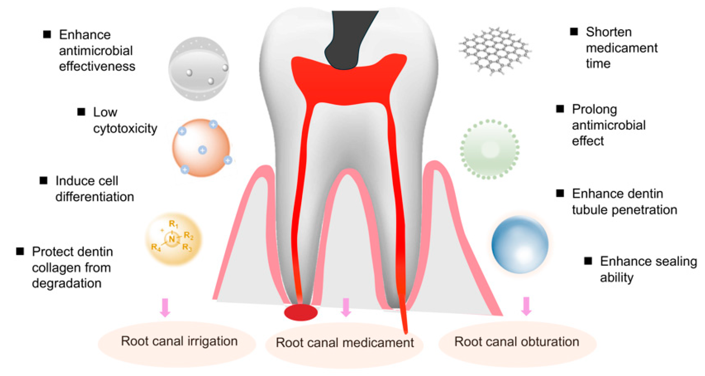 Pharmaceutics 16 00759 g007