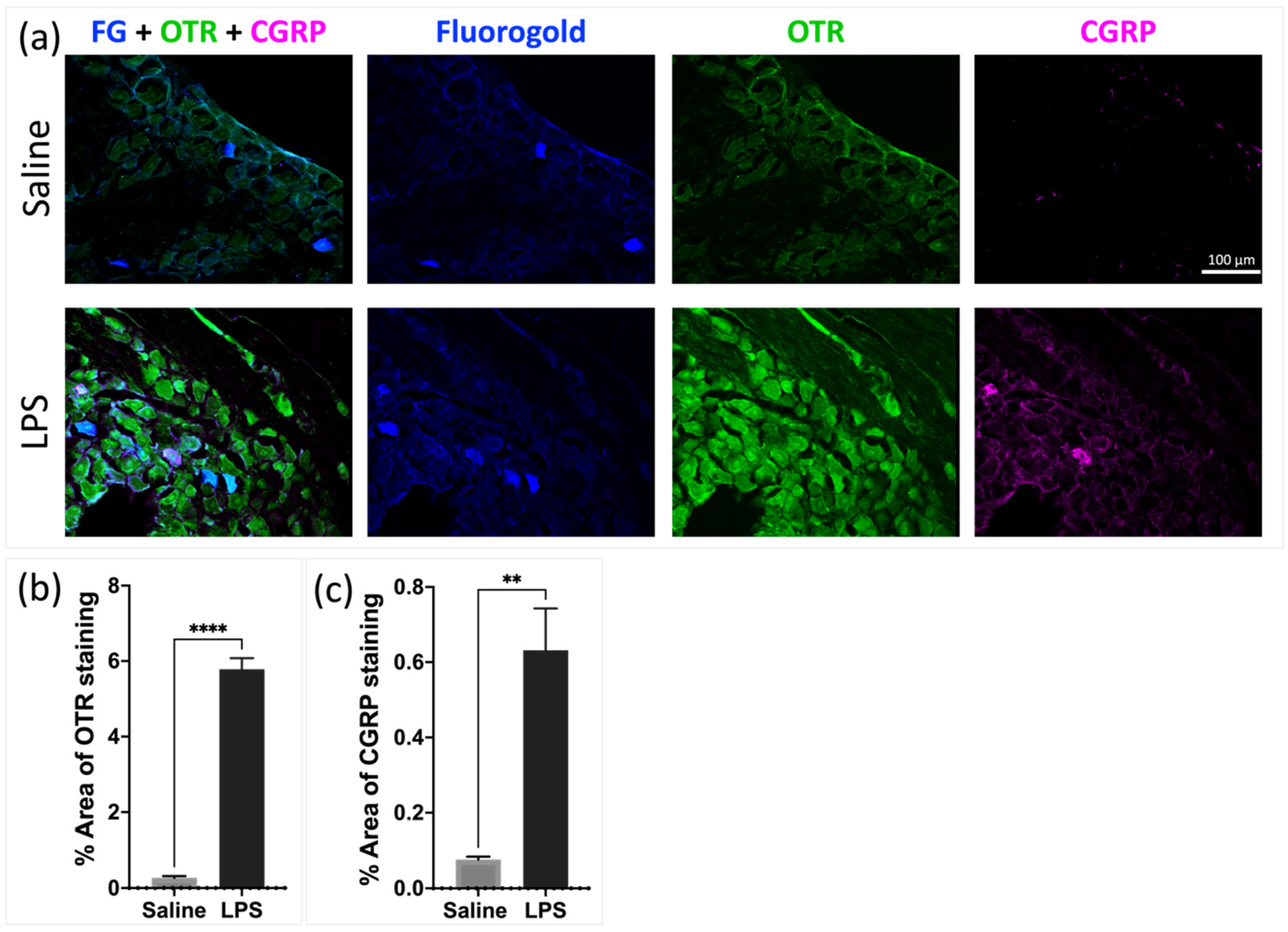 Pharmaceutics 16 00760 g003