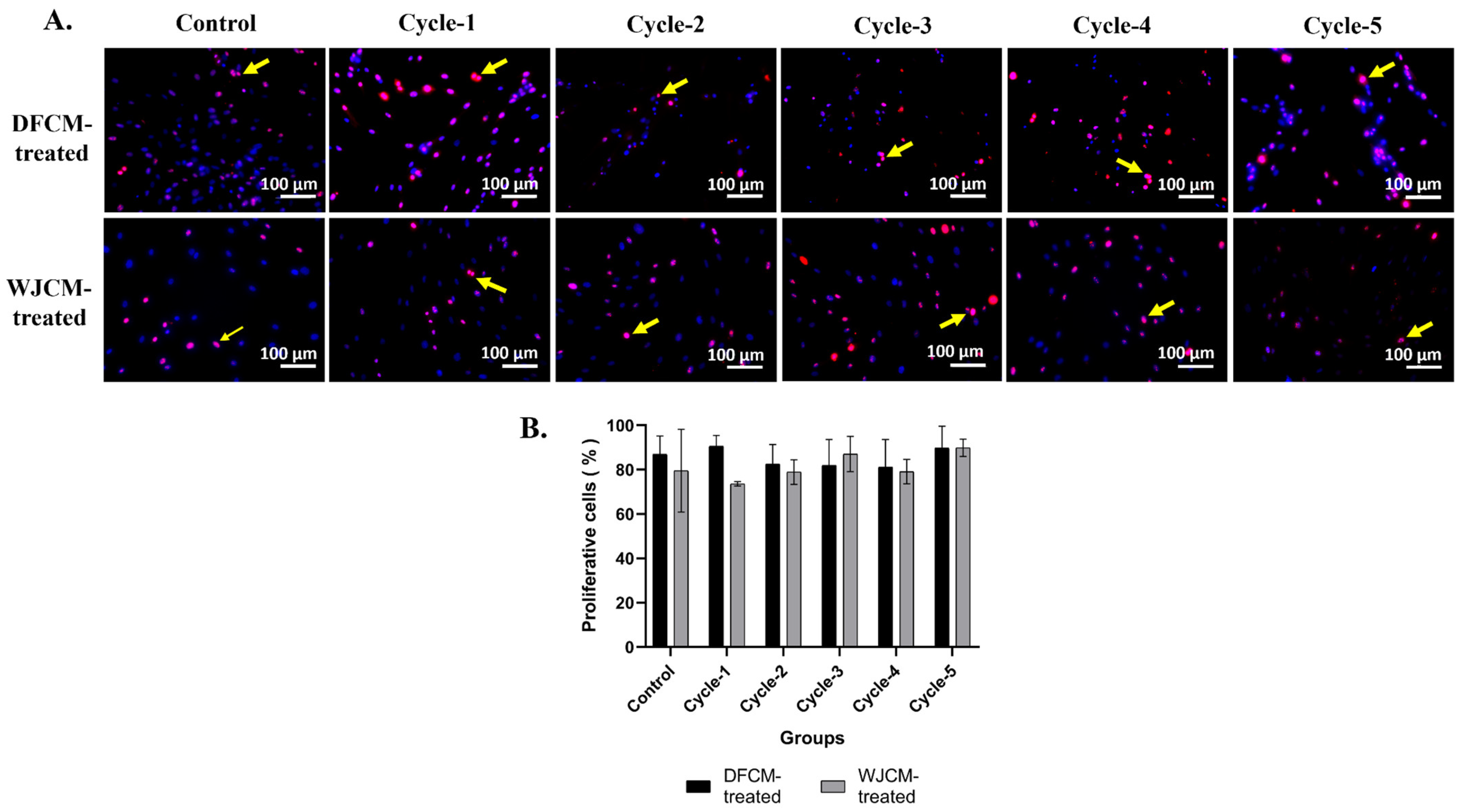 Pharmaceutics 16 00767 g005