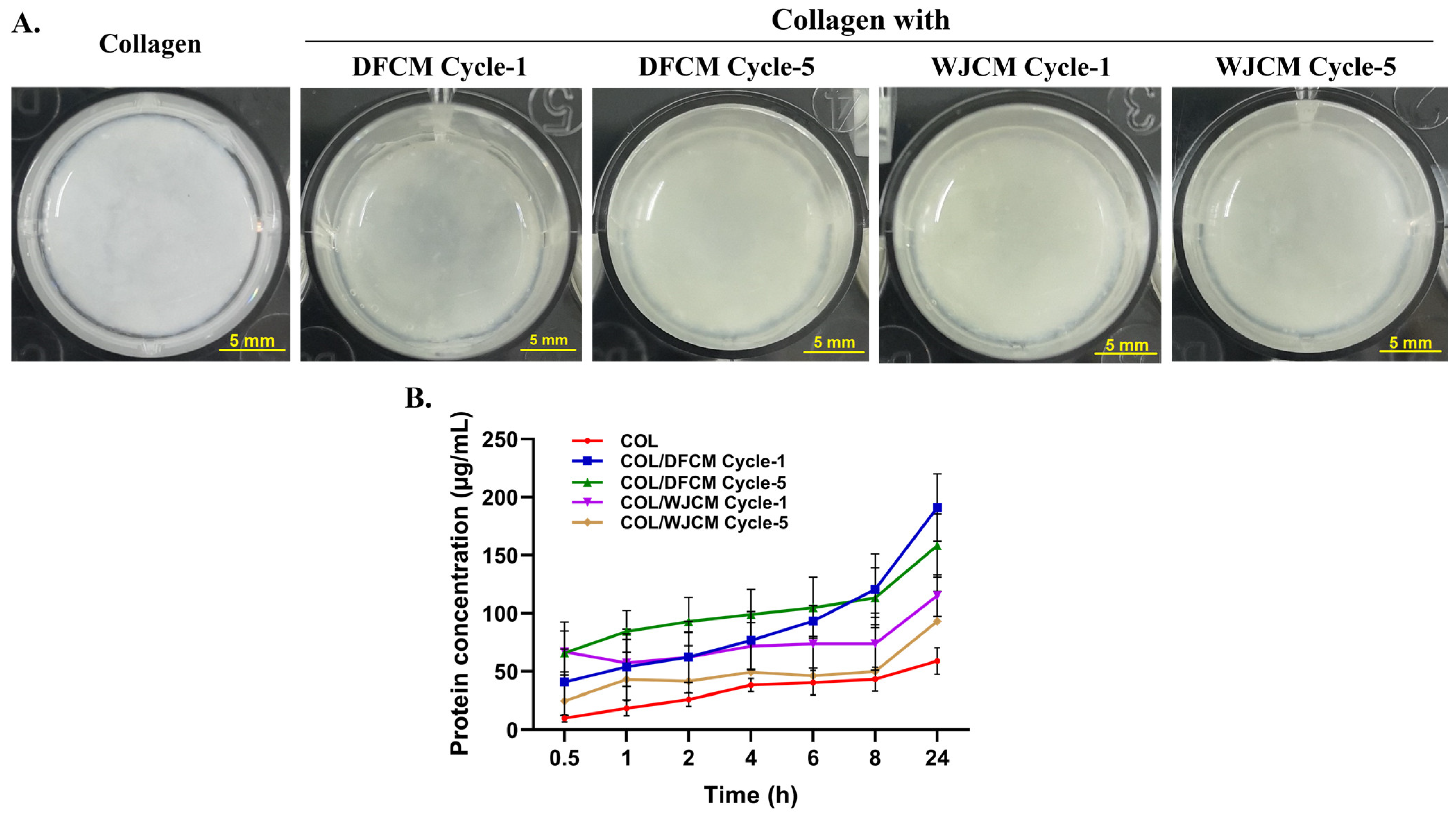 Pharmaceutics 16 00767 g007