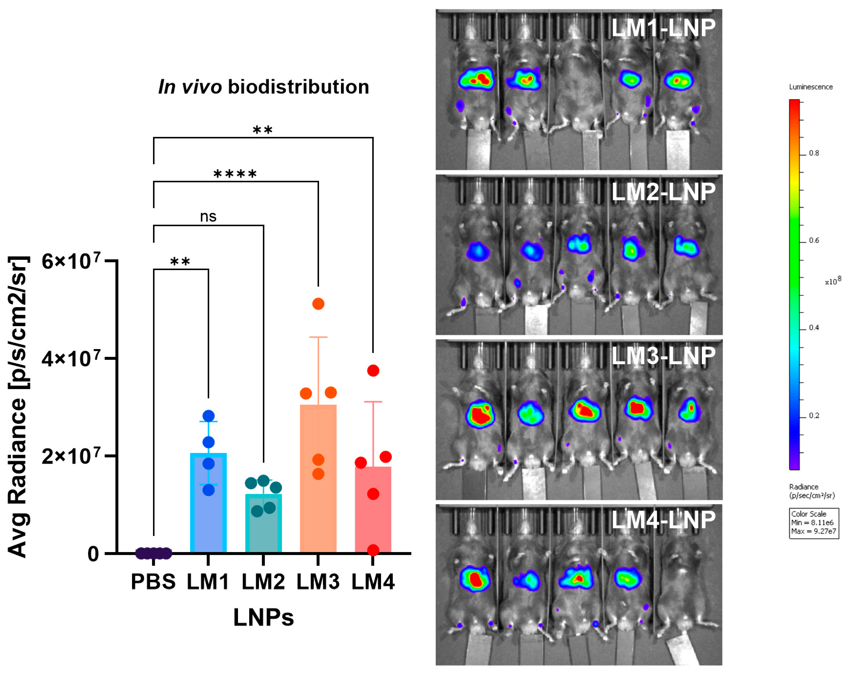 Pharmaceutics 16 00771 g012