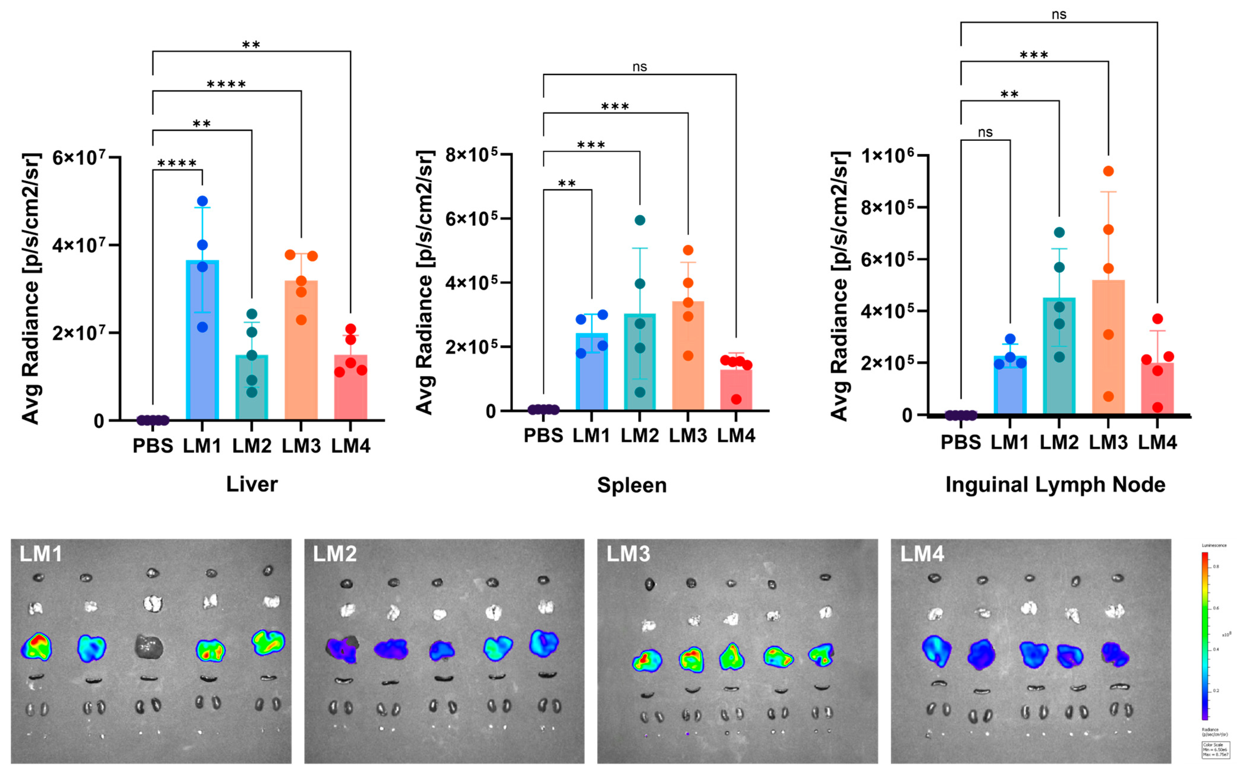 Pharmaceutics 16 00771 g013