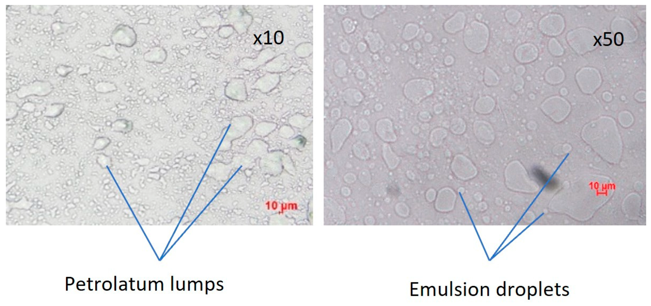 Pharmaceutics 16 00773 g003
