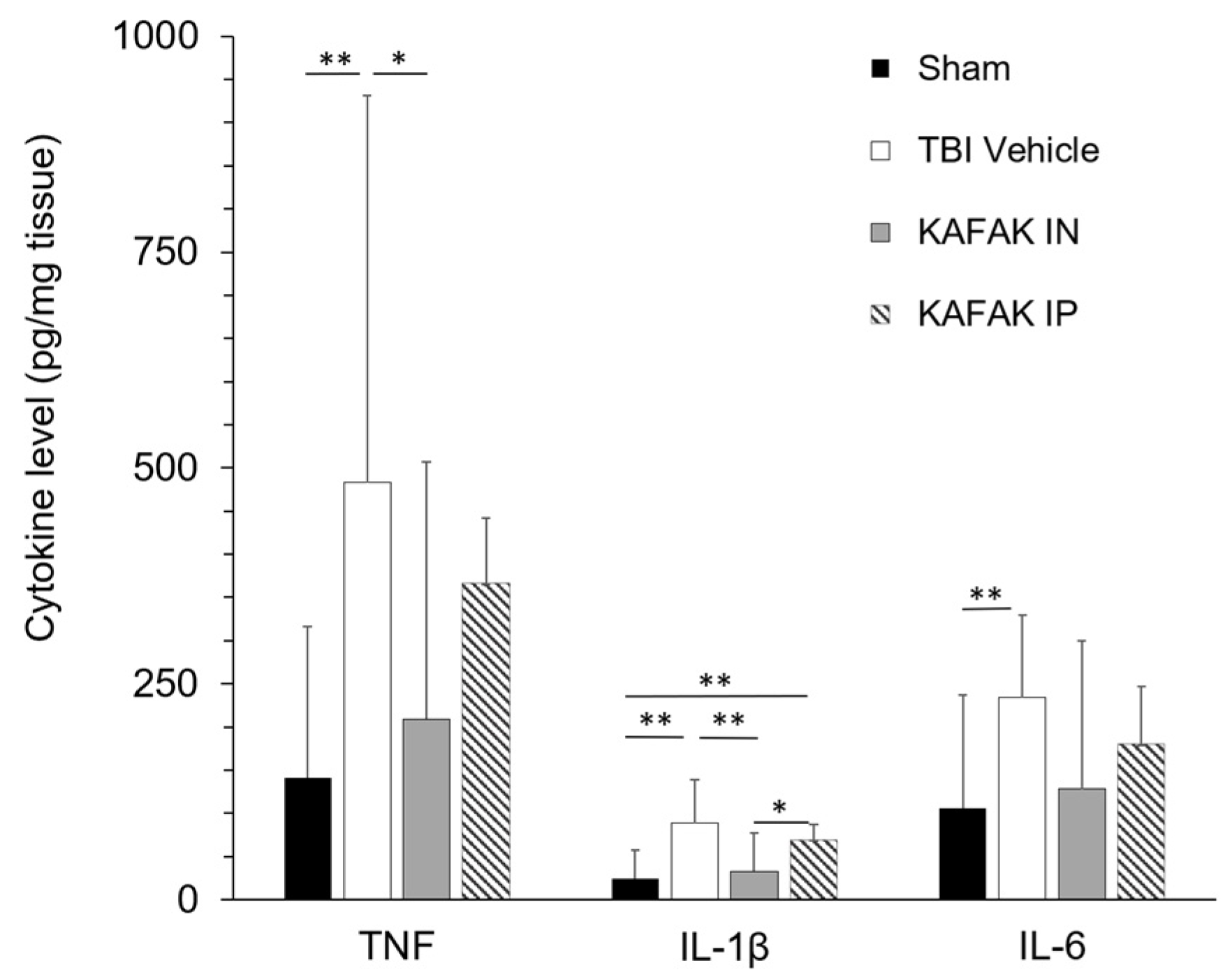Pharmaceutics 16 00774 g007