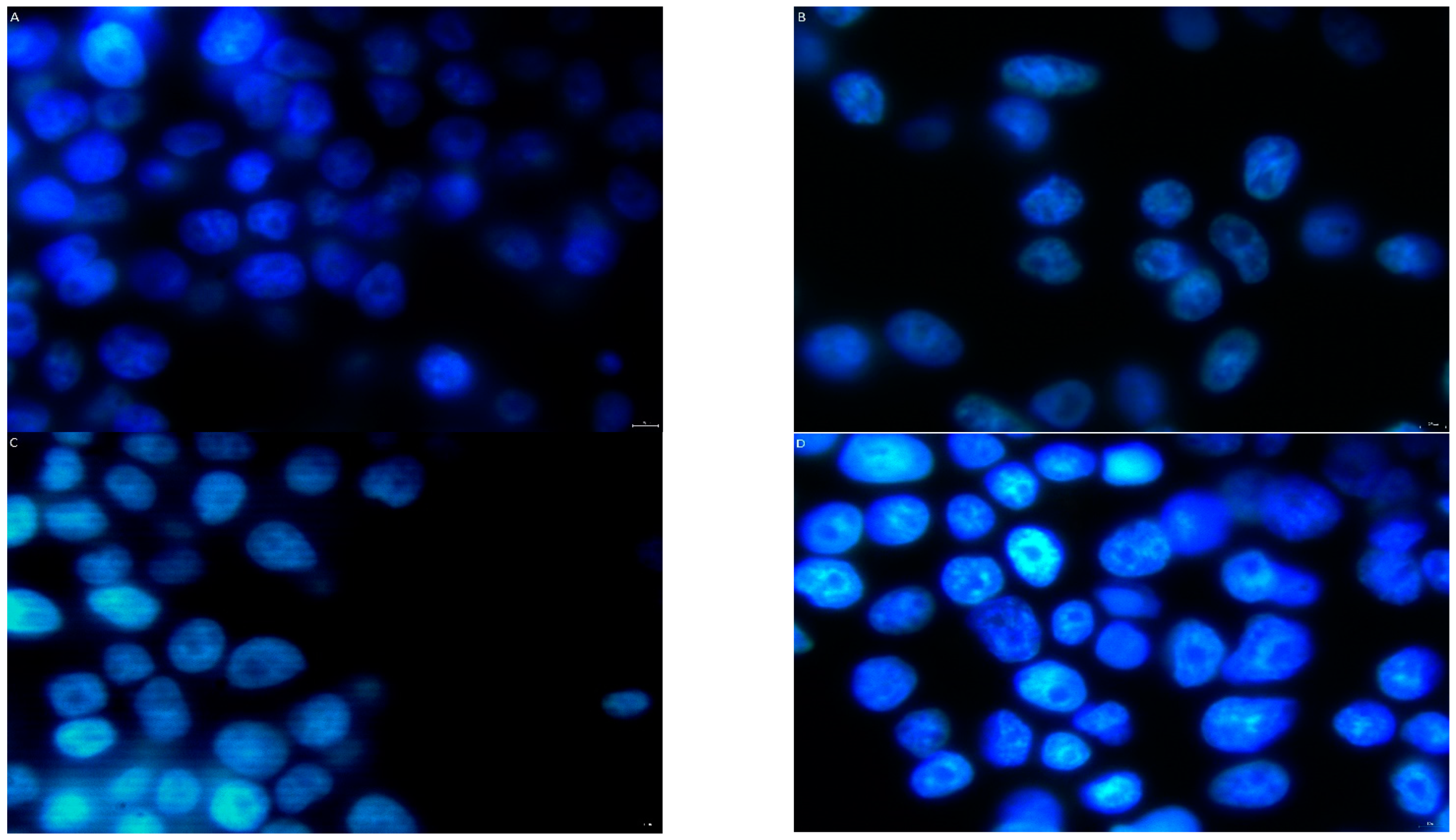 Pharmaceutics 16 00778 g003