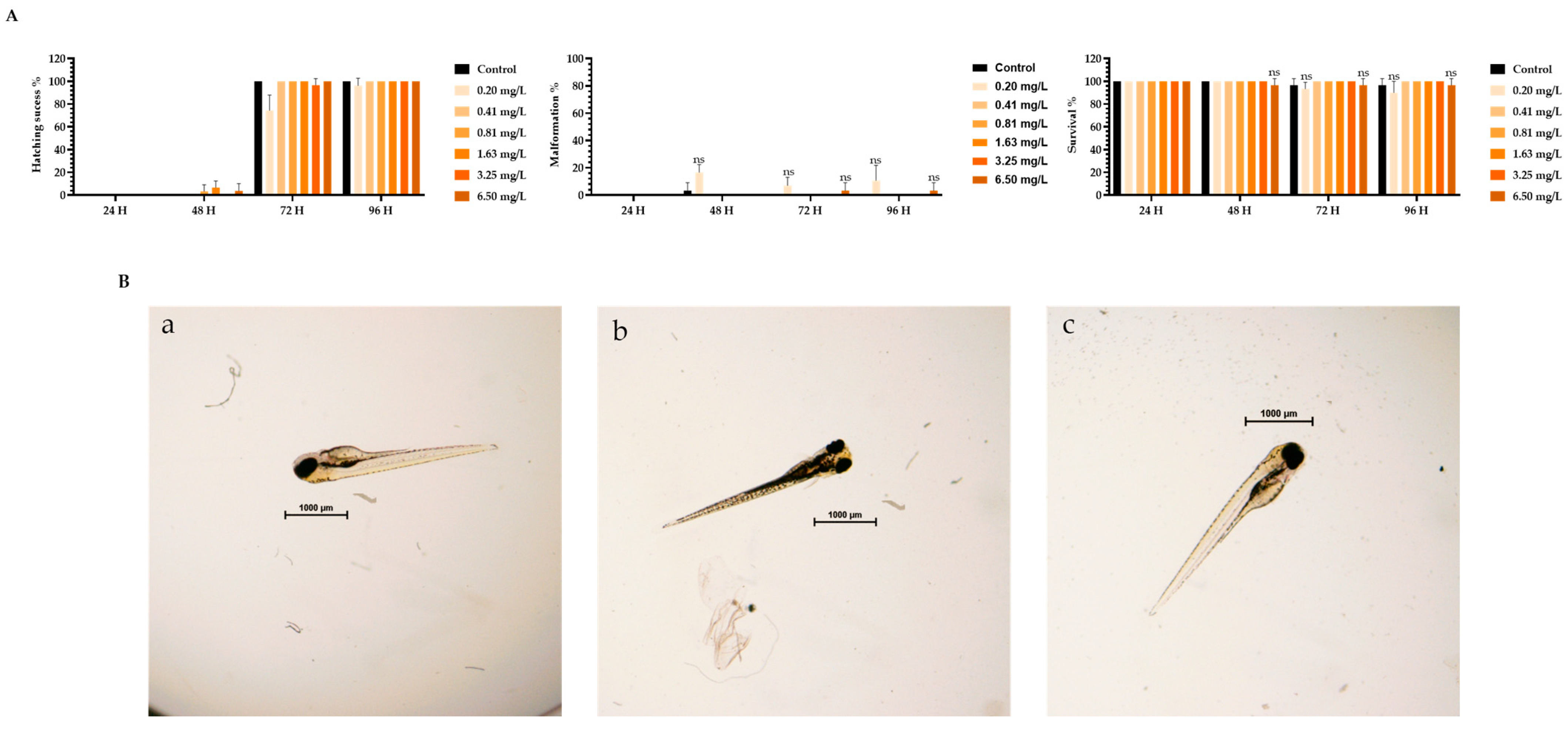 Pharmaceutics 16 00781 g005