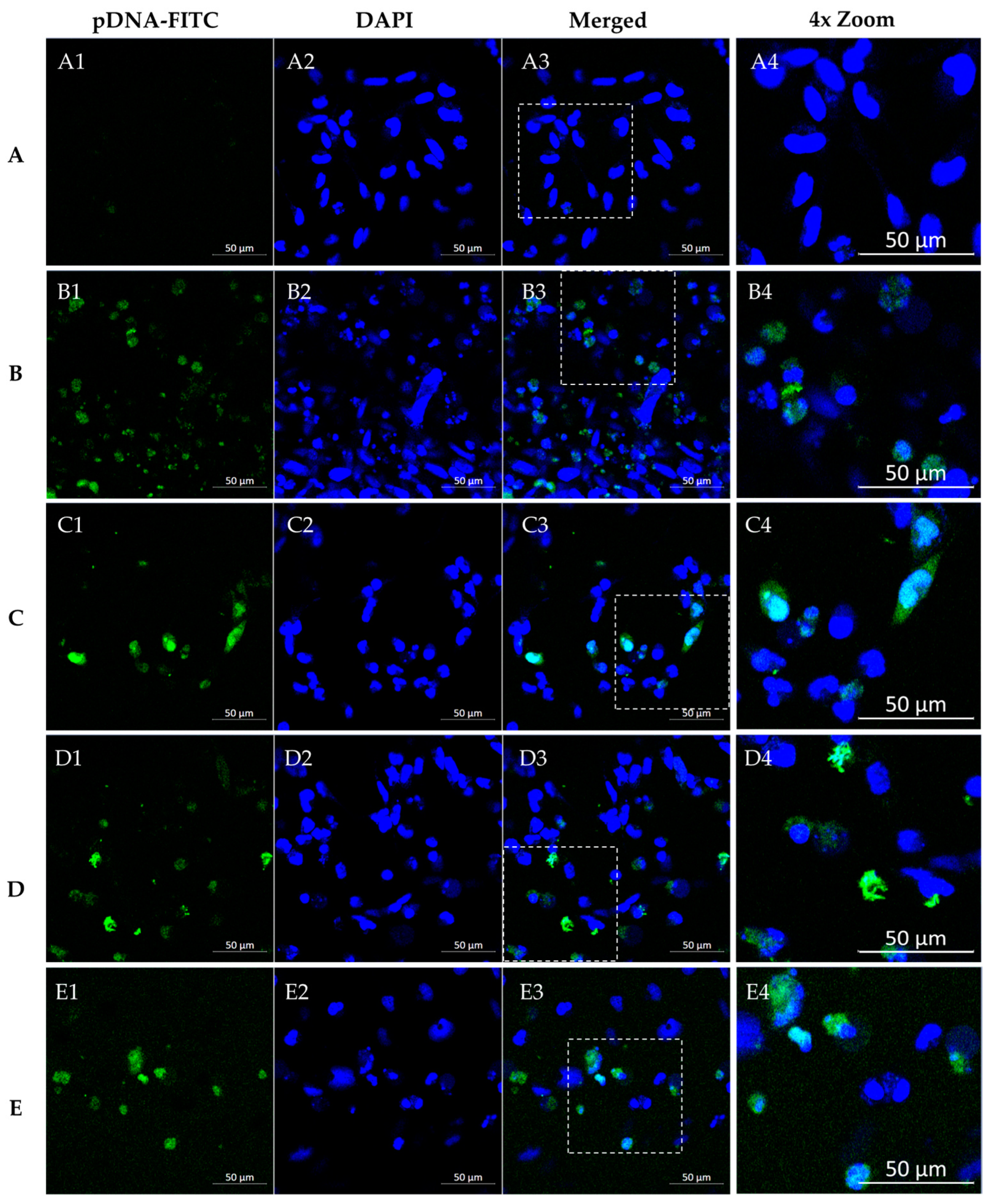 Pharmaceutics 16 00781 g009