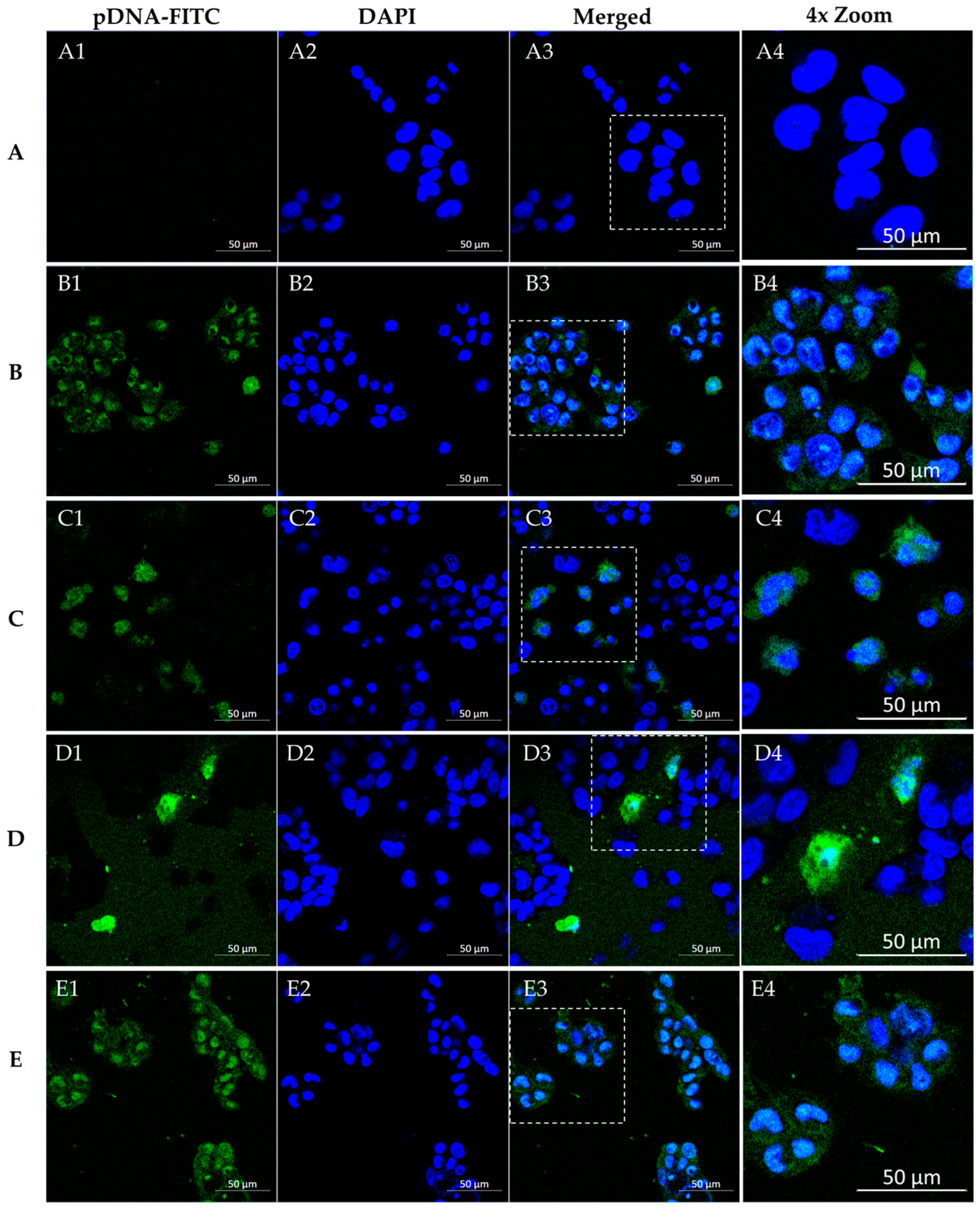 Pharmaceutics 16 00781 g010