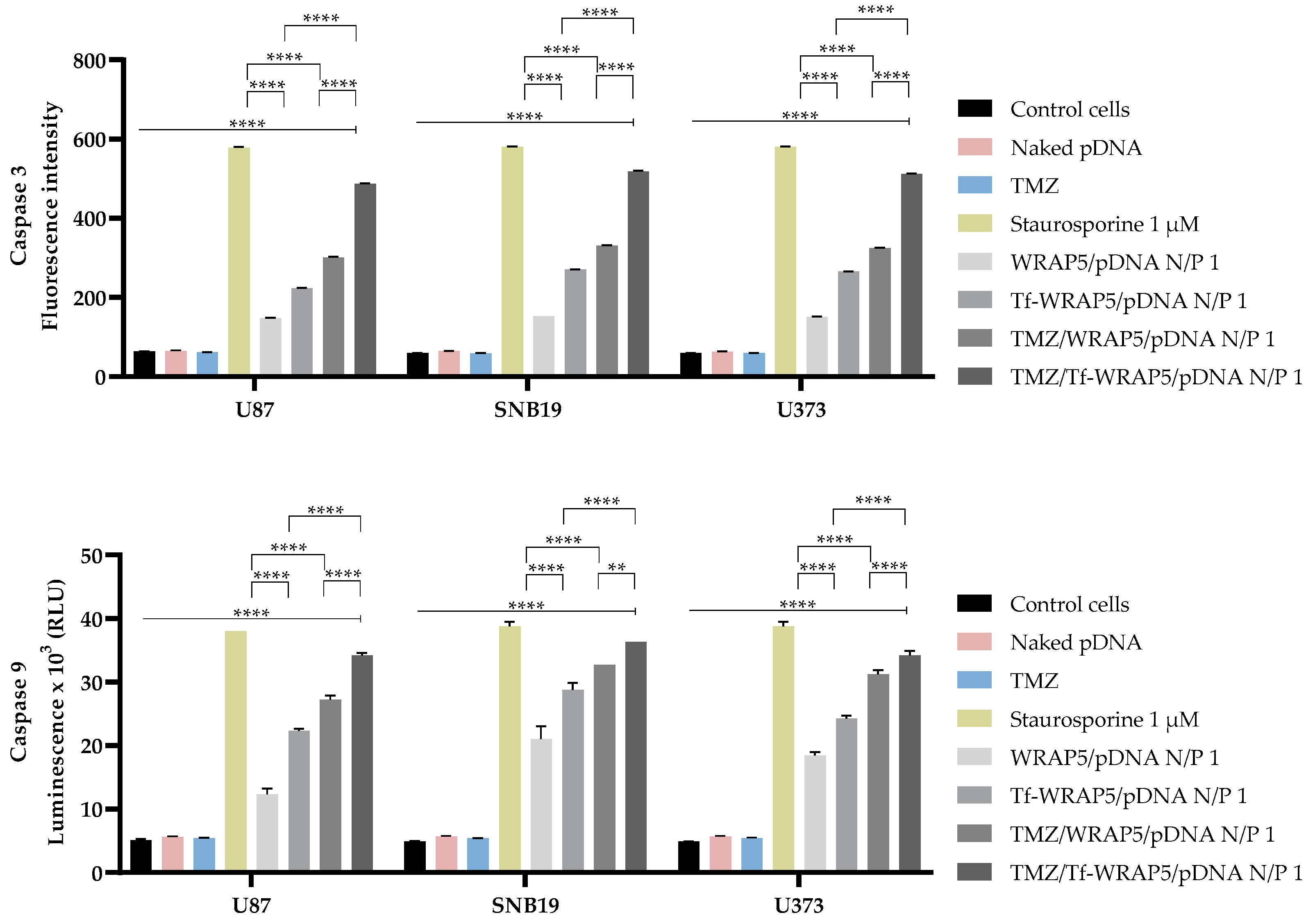 Pharmaceutics 16 00781 g013
