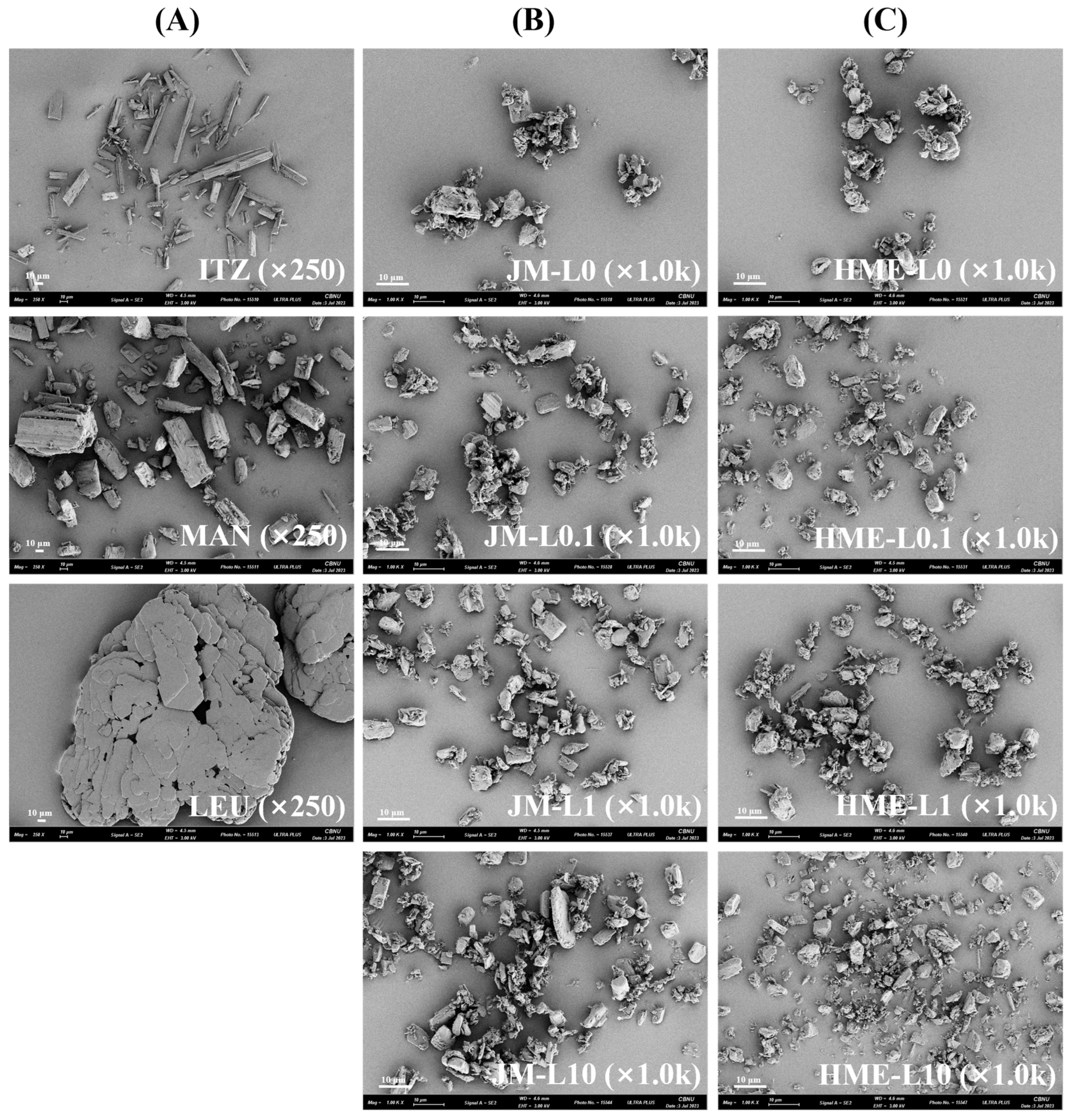 Pharmaceutics 16 00784 g001