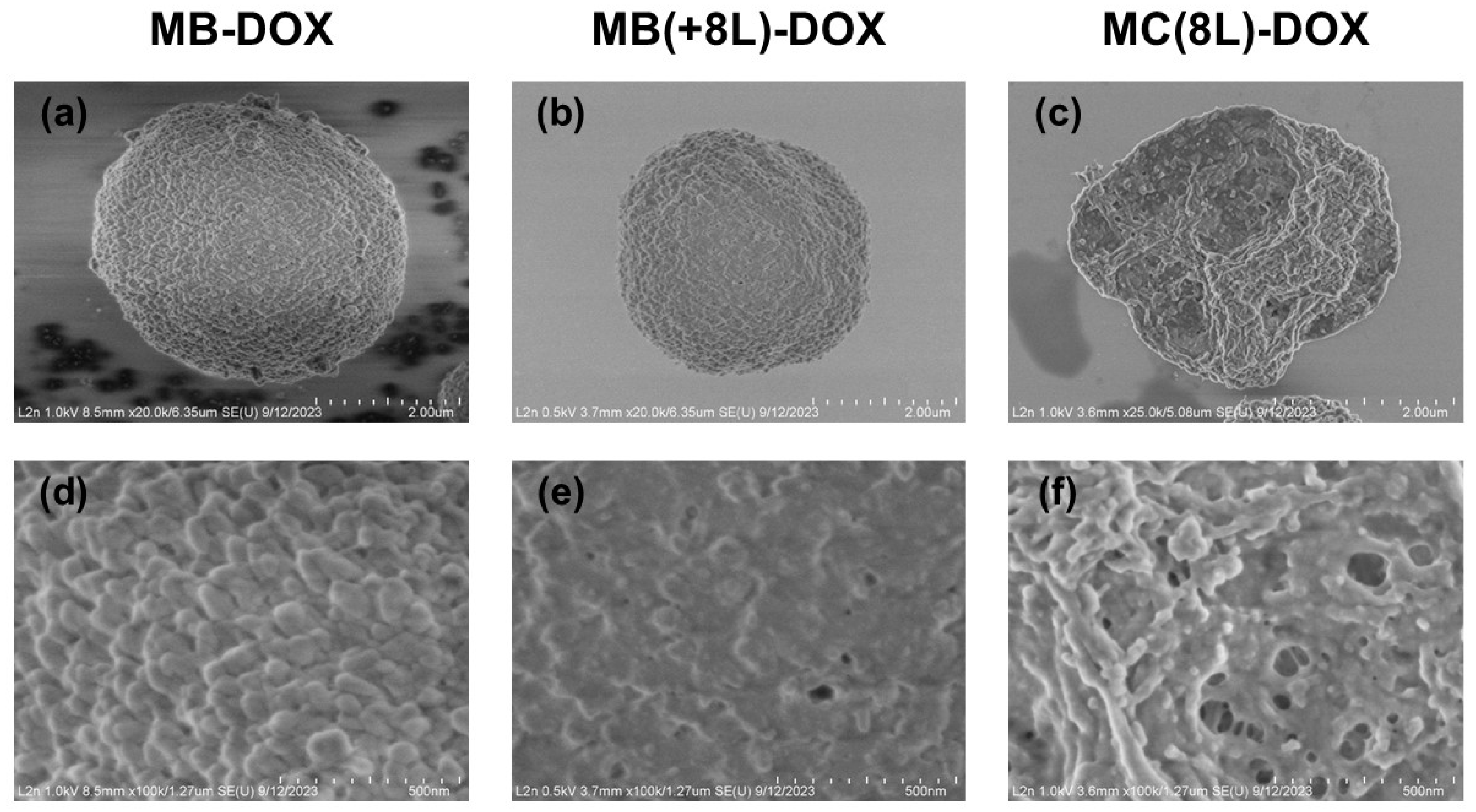 Pharmaceutics 16 00785 g002