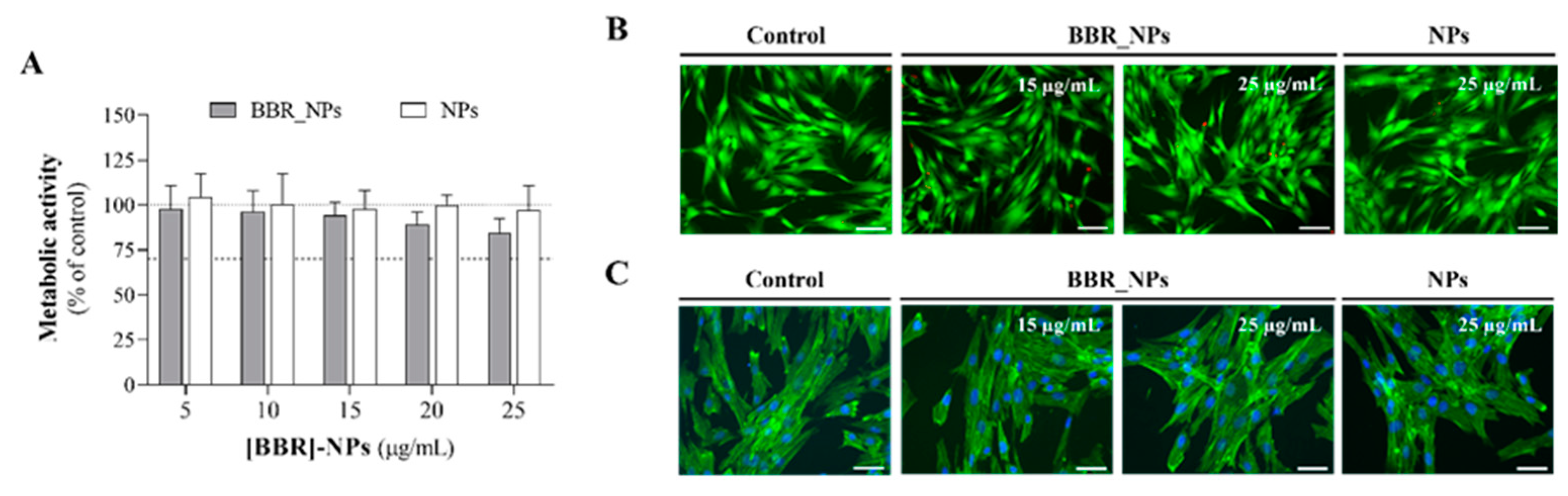 Pharmaceutics 16 00786 g006 Pharmaceutics 16 00786 g006