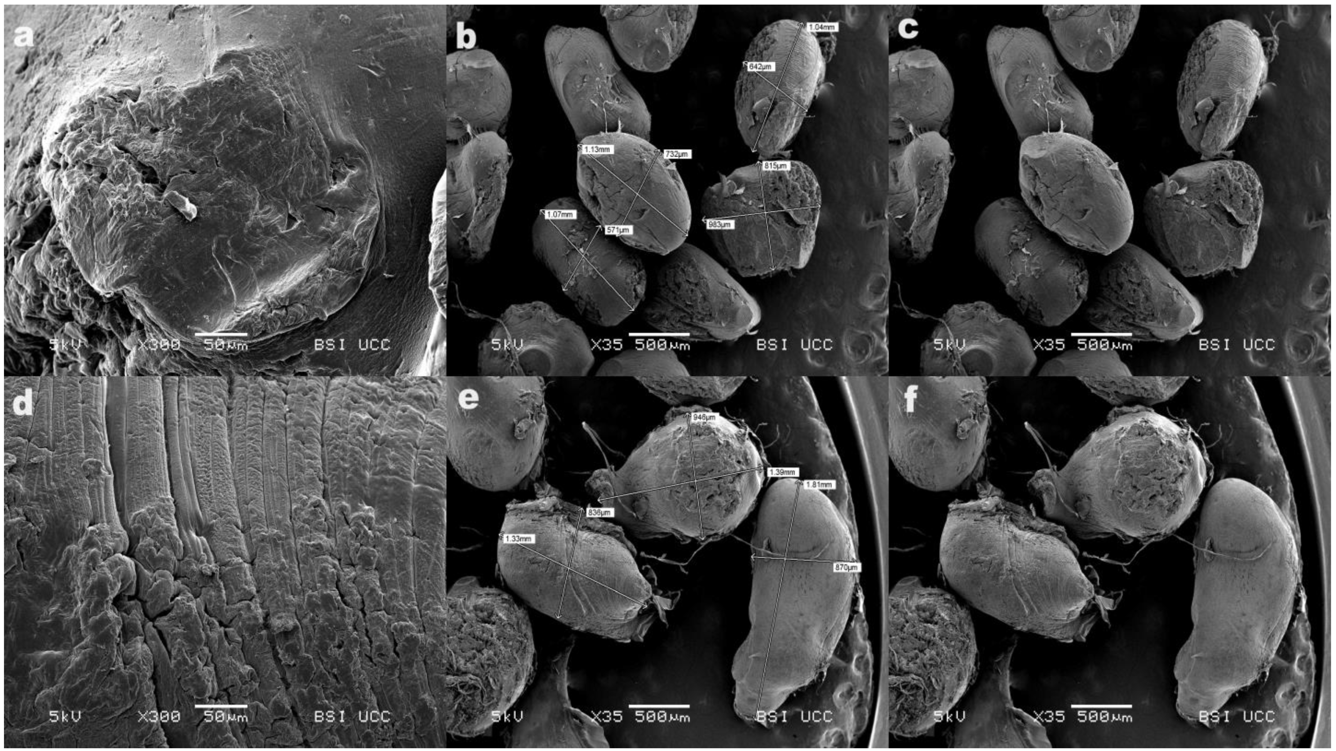 Pharmaceutics 16 00788 g006