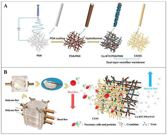 MOF-Based Platform for Kidney Diseases: Advances, Challenges, and