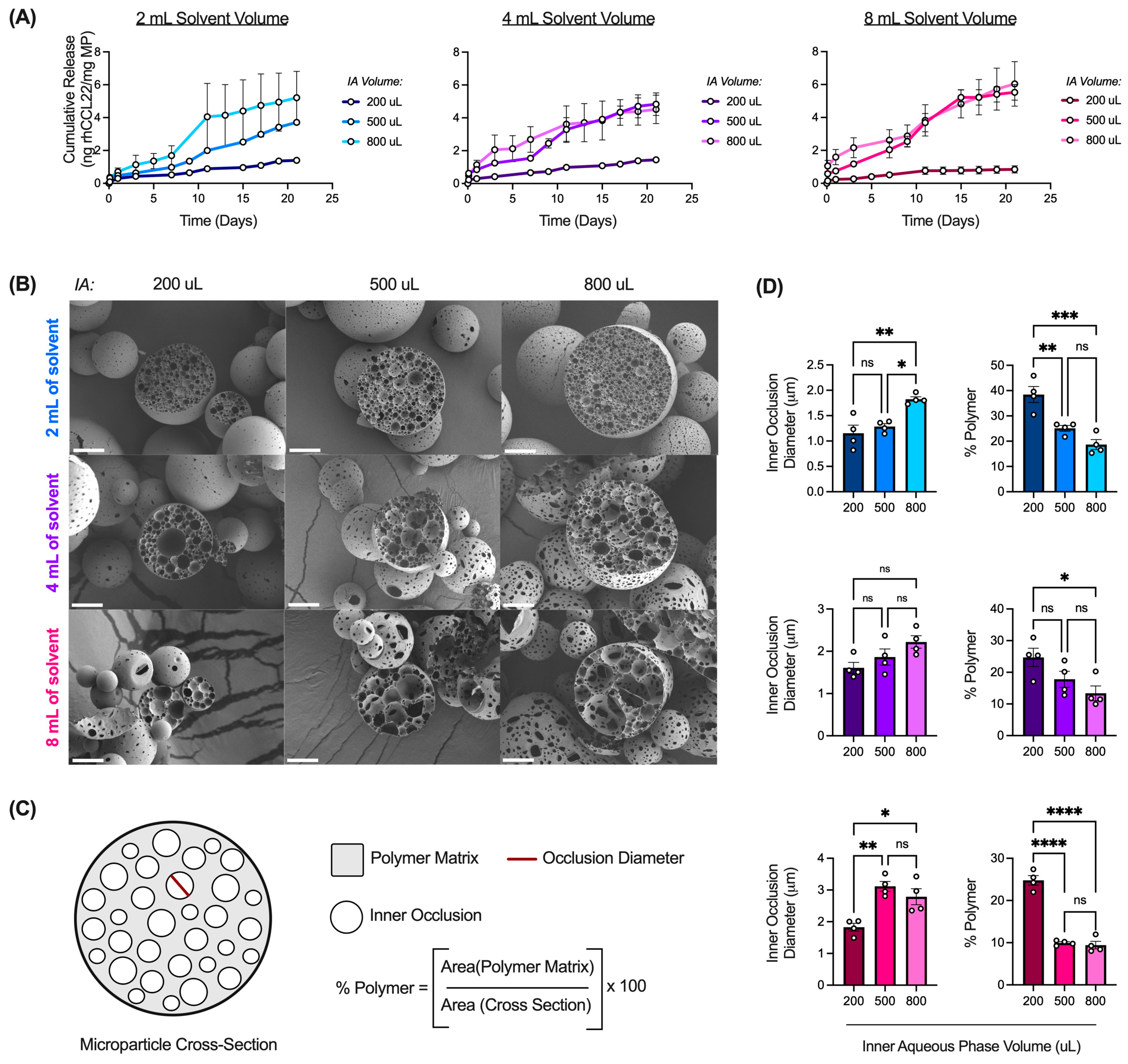 Pharmaceutics 16 00796 g005