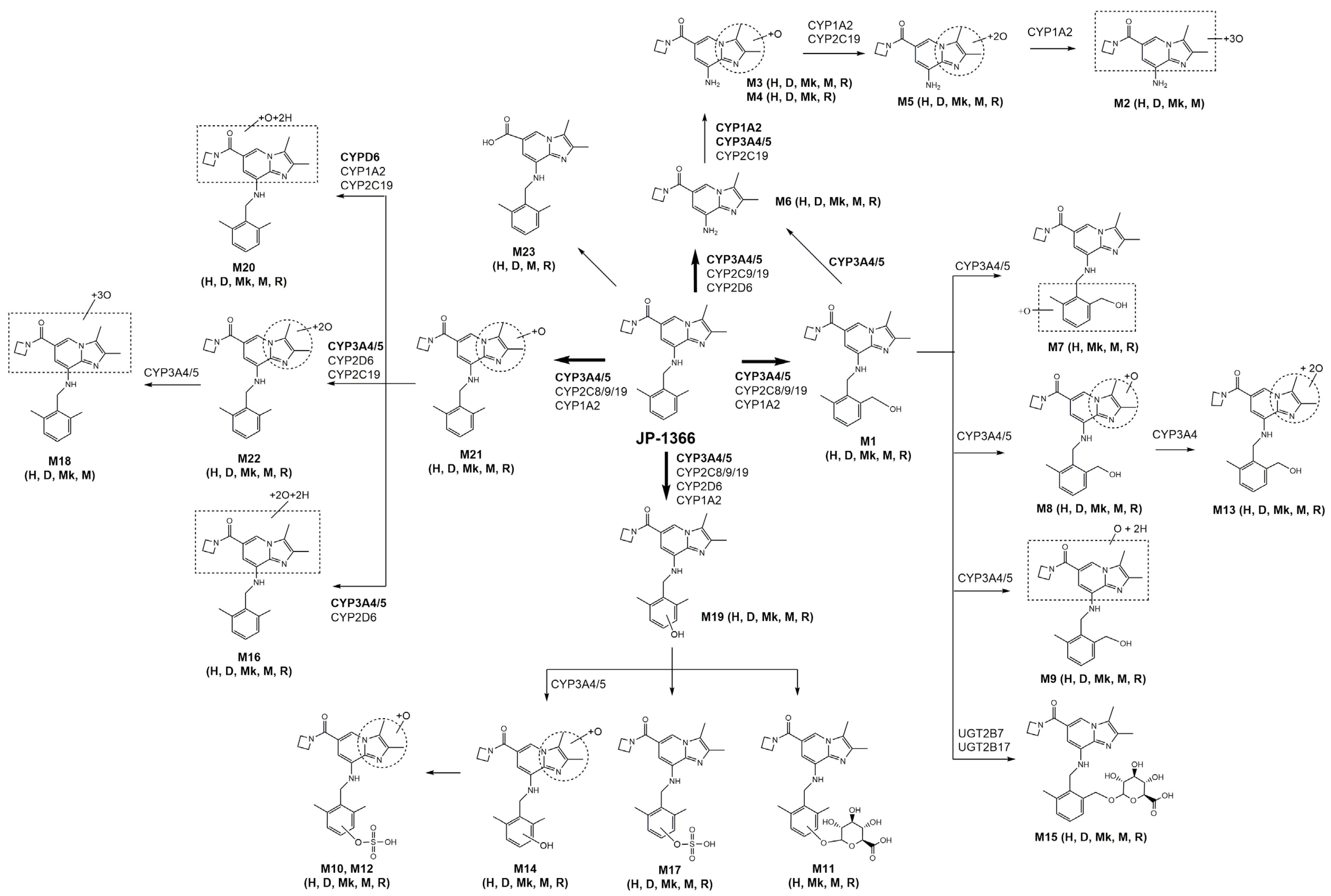 Pharmaceutics 16 00799 g010