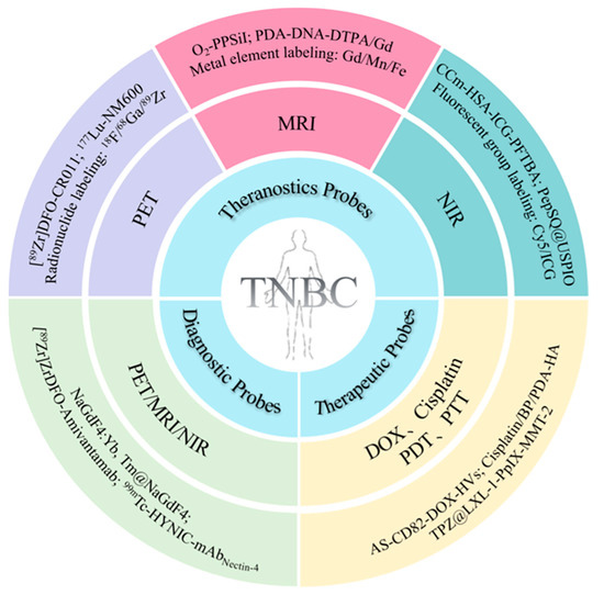 Recent Progress of Multifunctional Molecular Probes for Recent Progress of Multifunctional Molecular Probes for