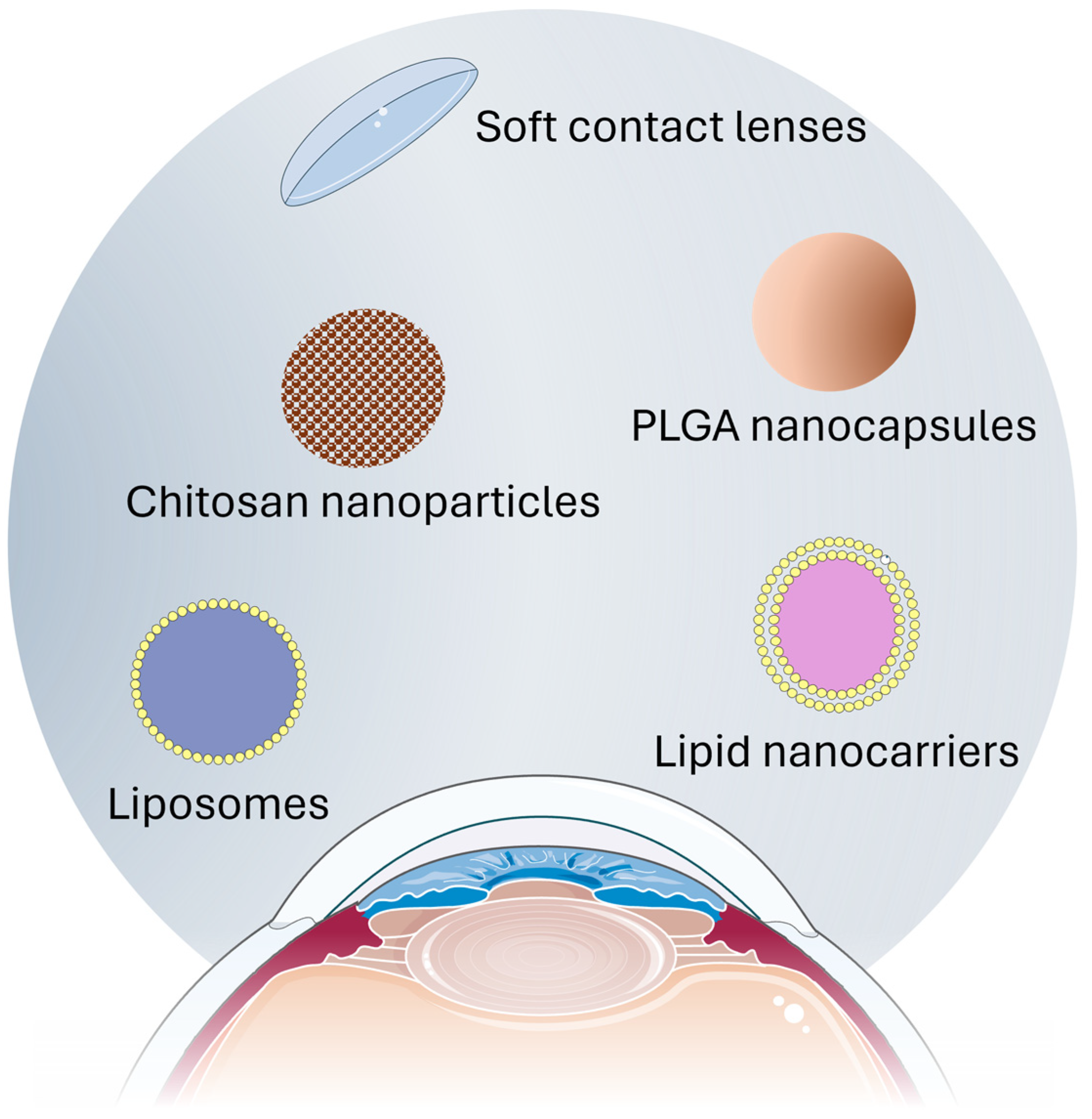 Pharmaceutics 16 00804 g004