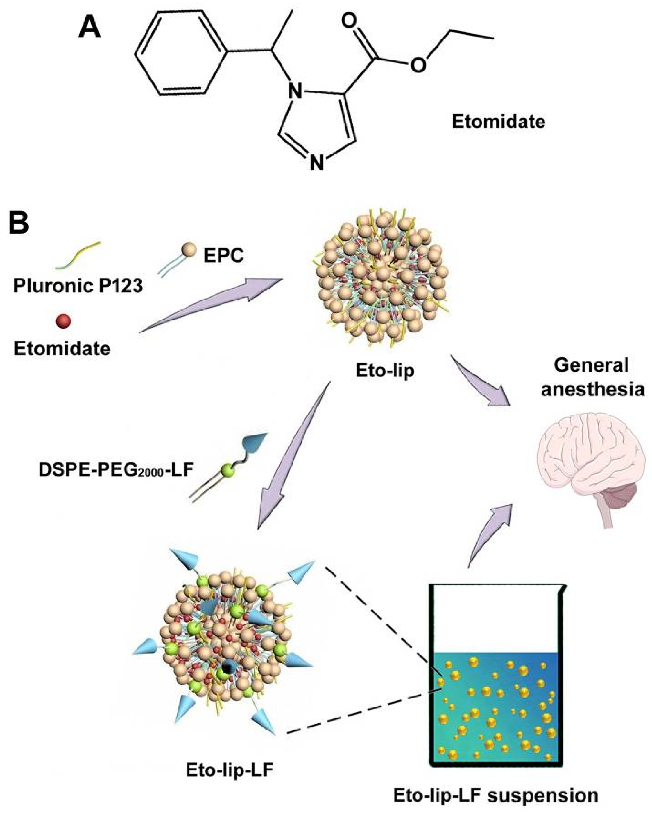 Pharmaceutics 16 00805 g001