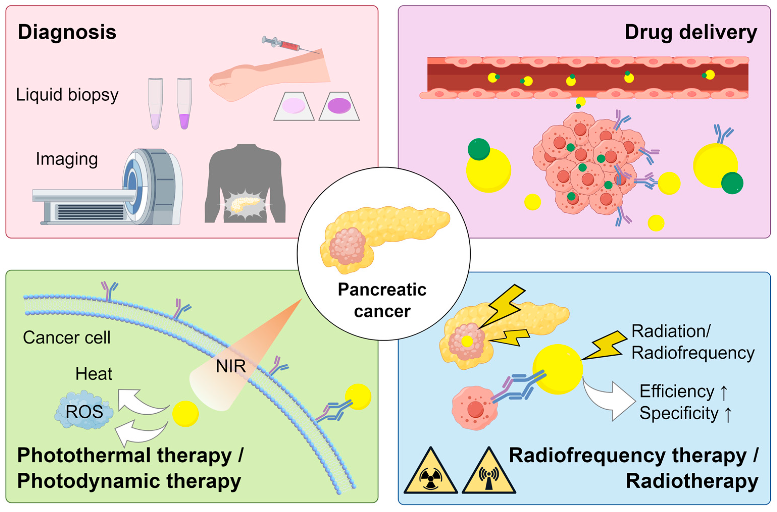 Pharmaceutics 16 00806 g001