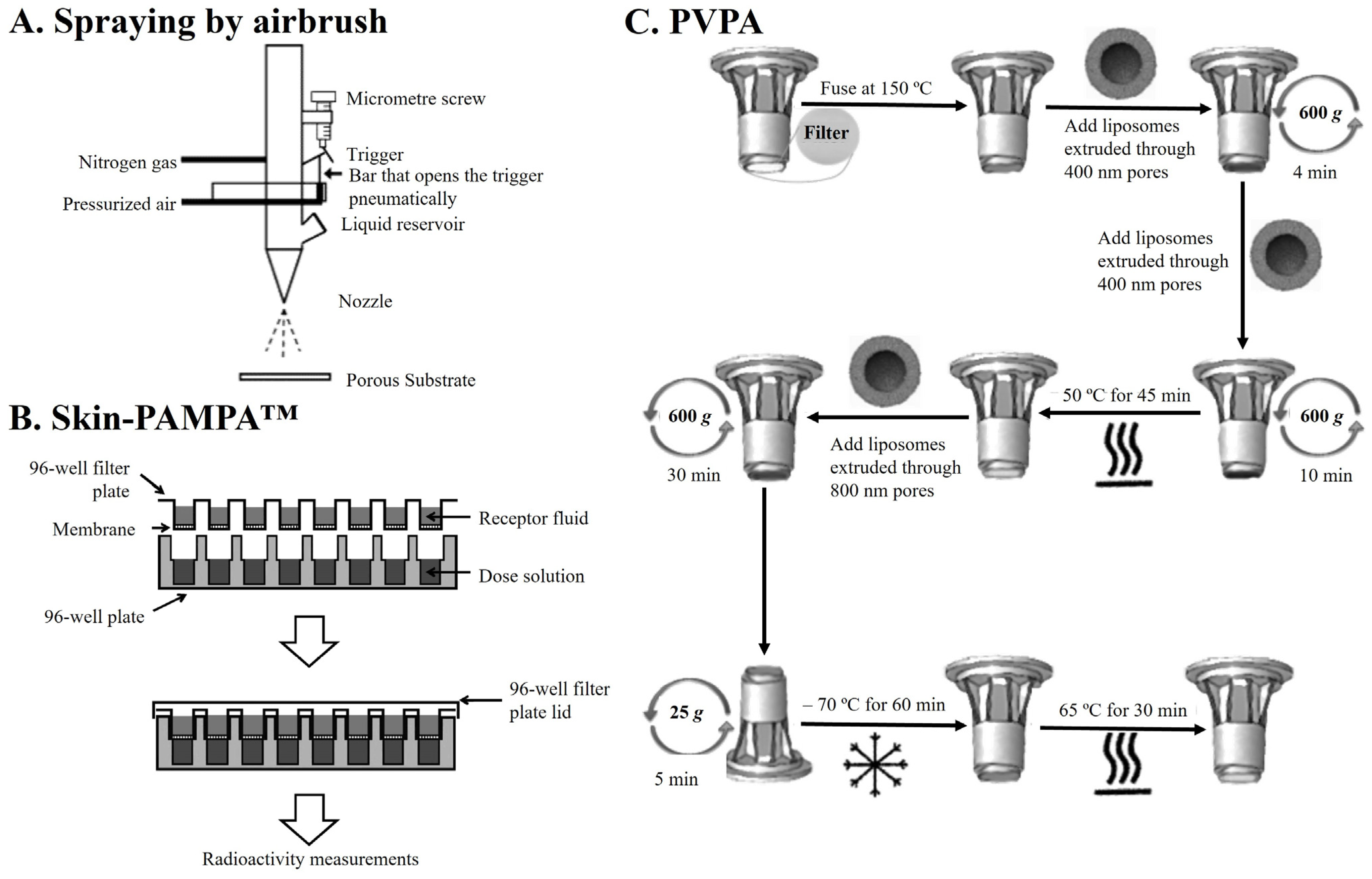 Pharmaceutics 16 00807 g006