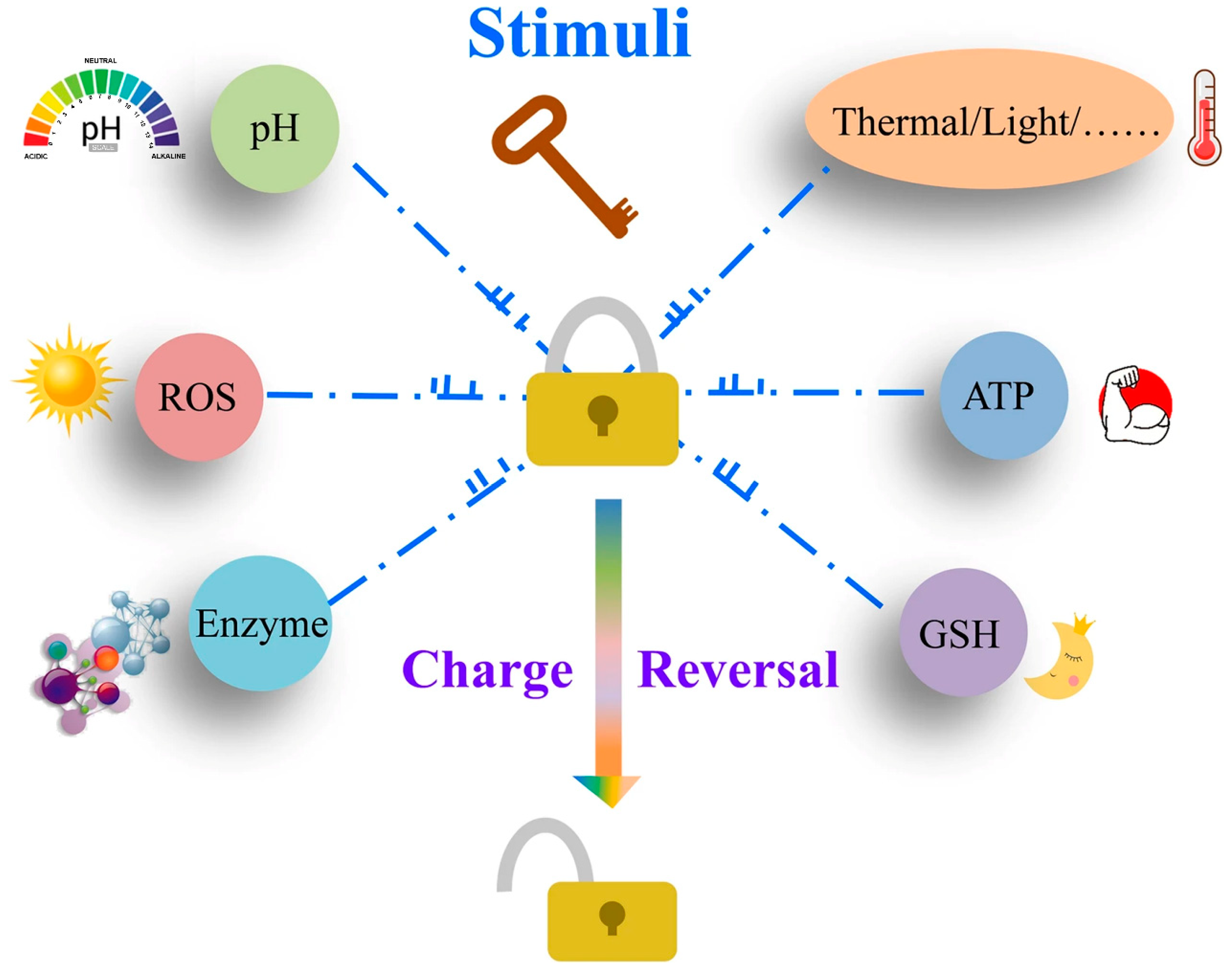 Pharmaceutics 16 00809 g001