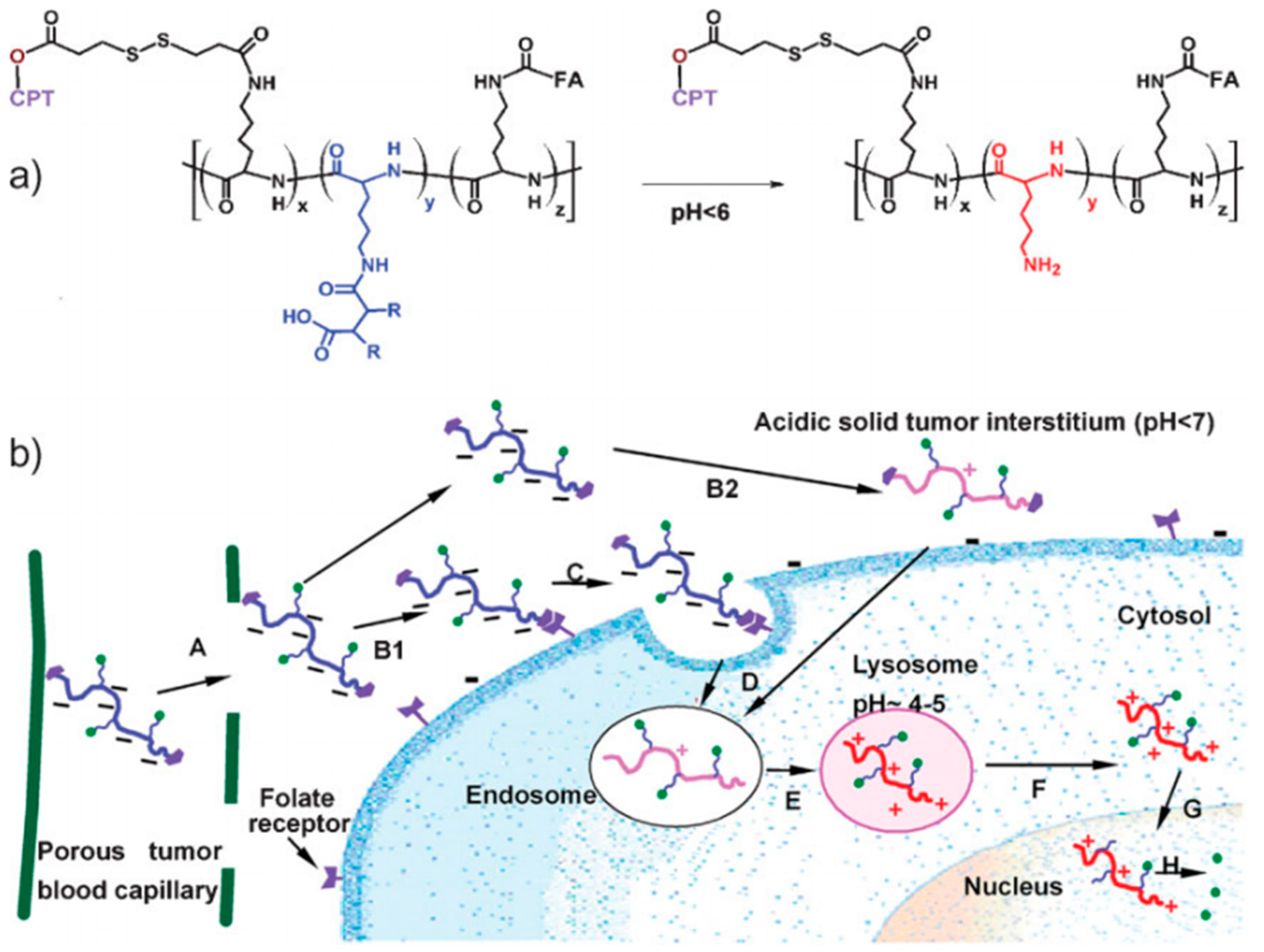 Pharmaceutics 16 00809 g002