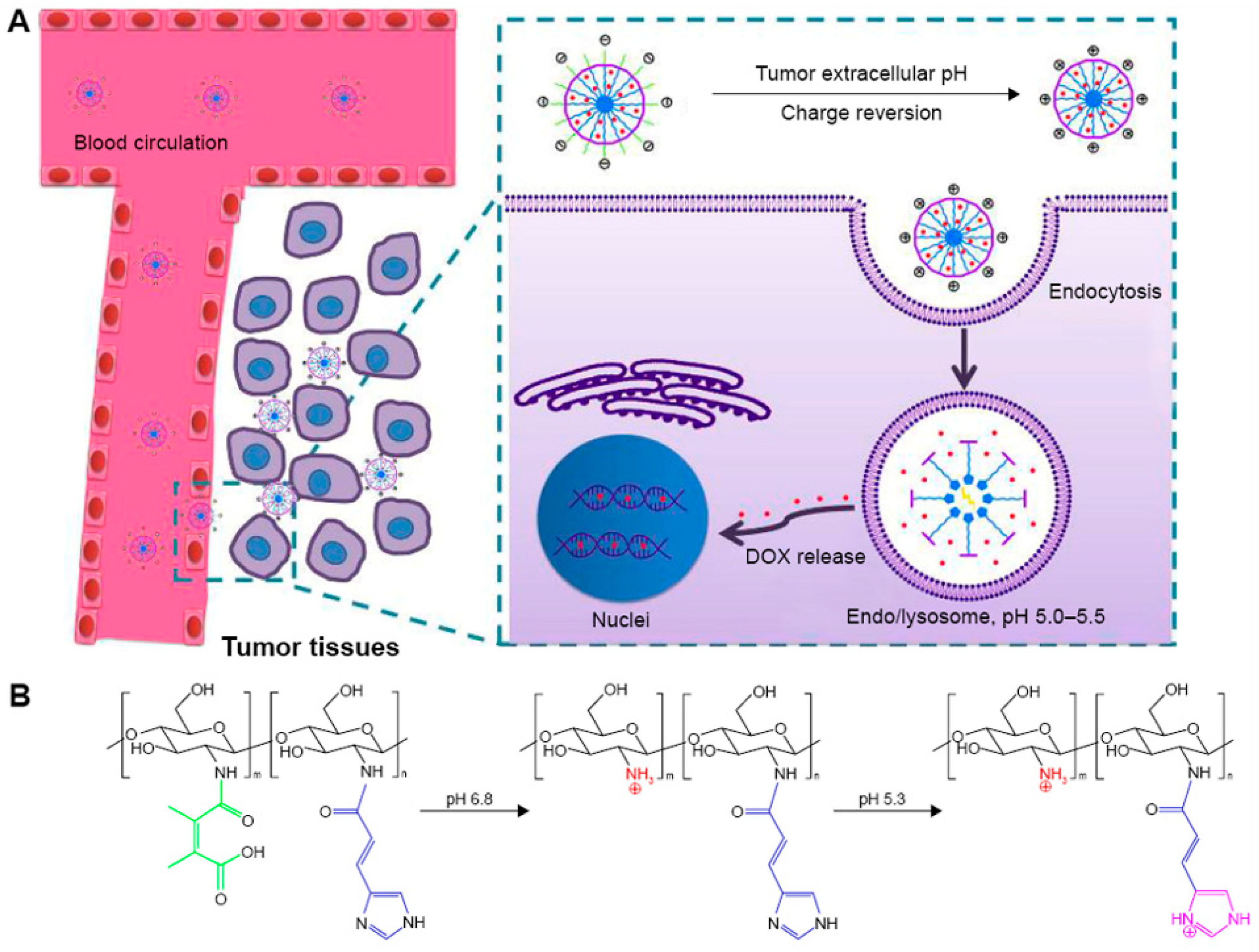 Pharmaceutics 16 00809 g010