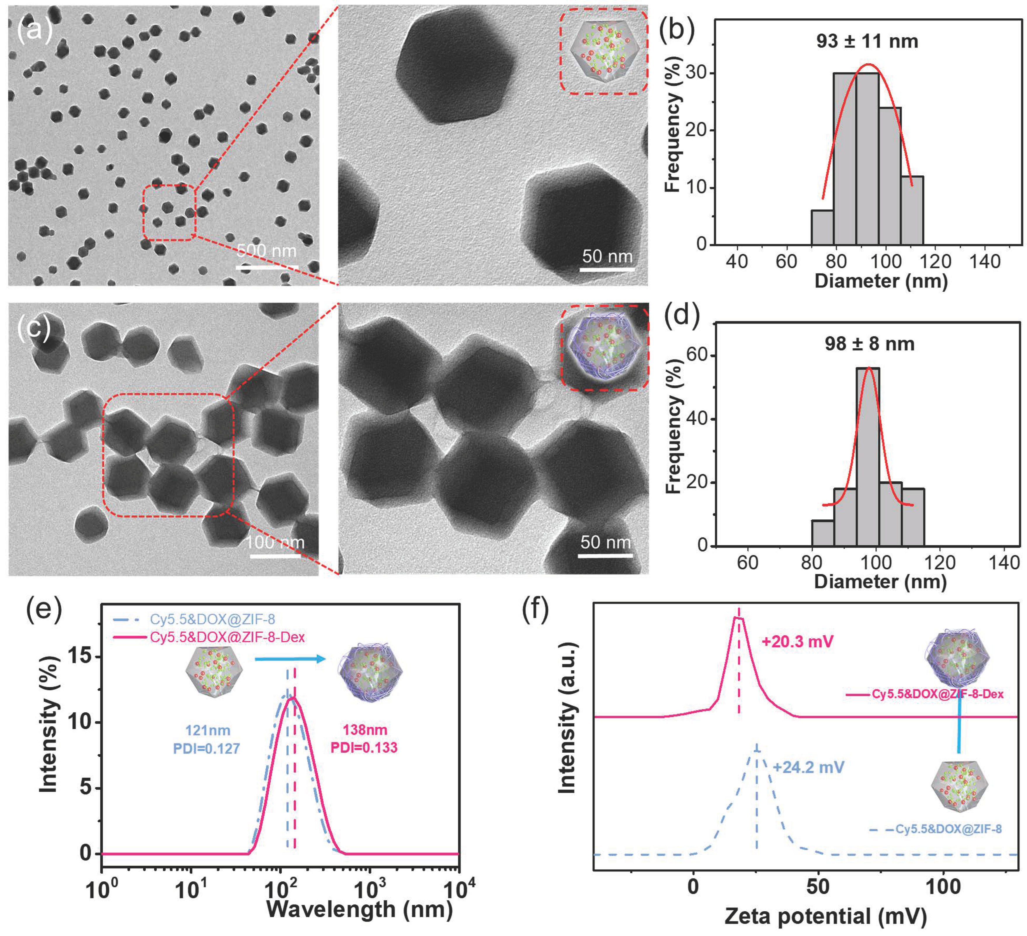Pharmaceutics 16 00823 g001