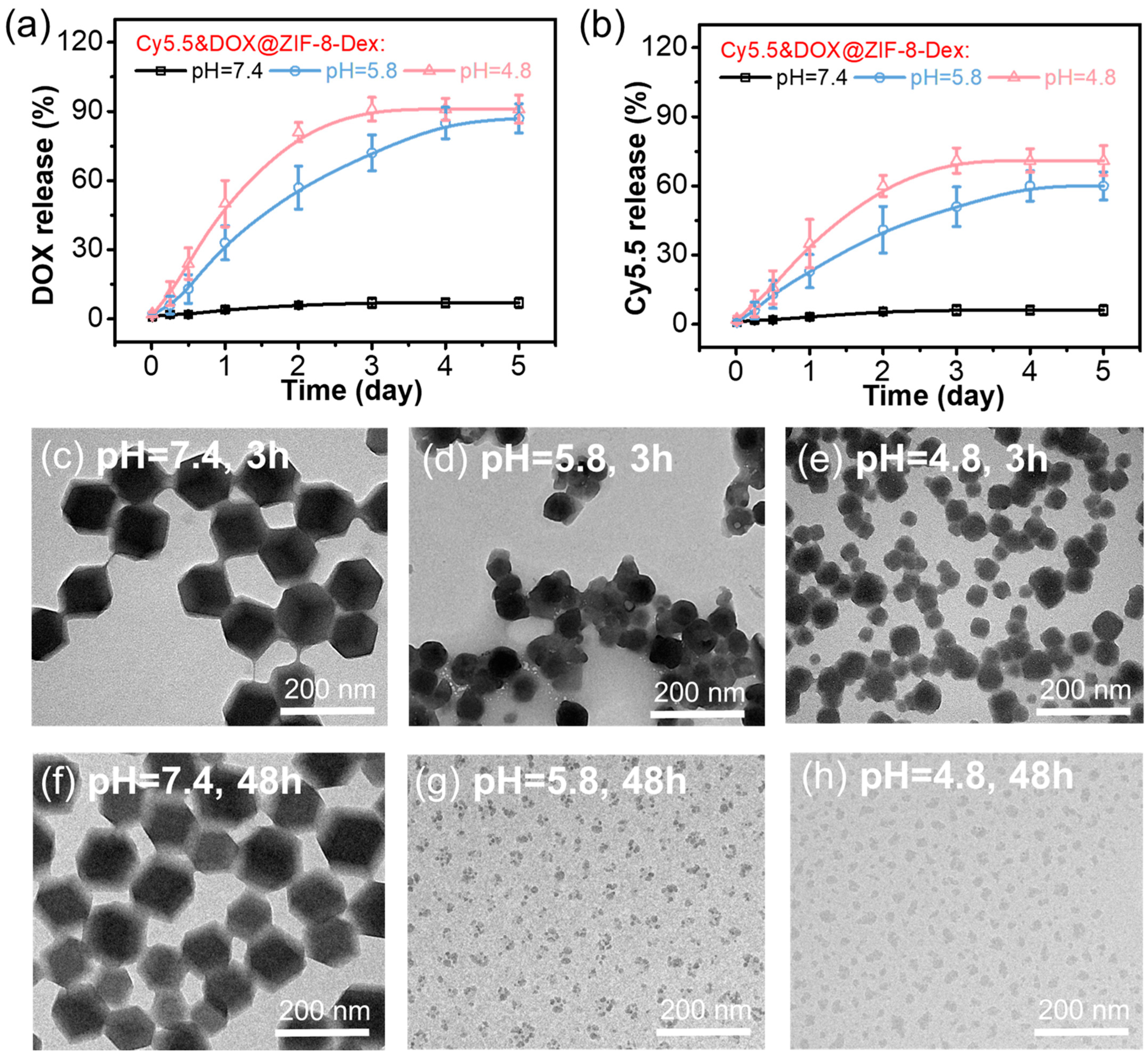 Pharmaceutics 16 00823 g002