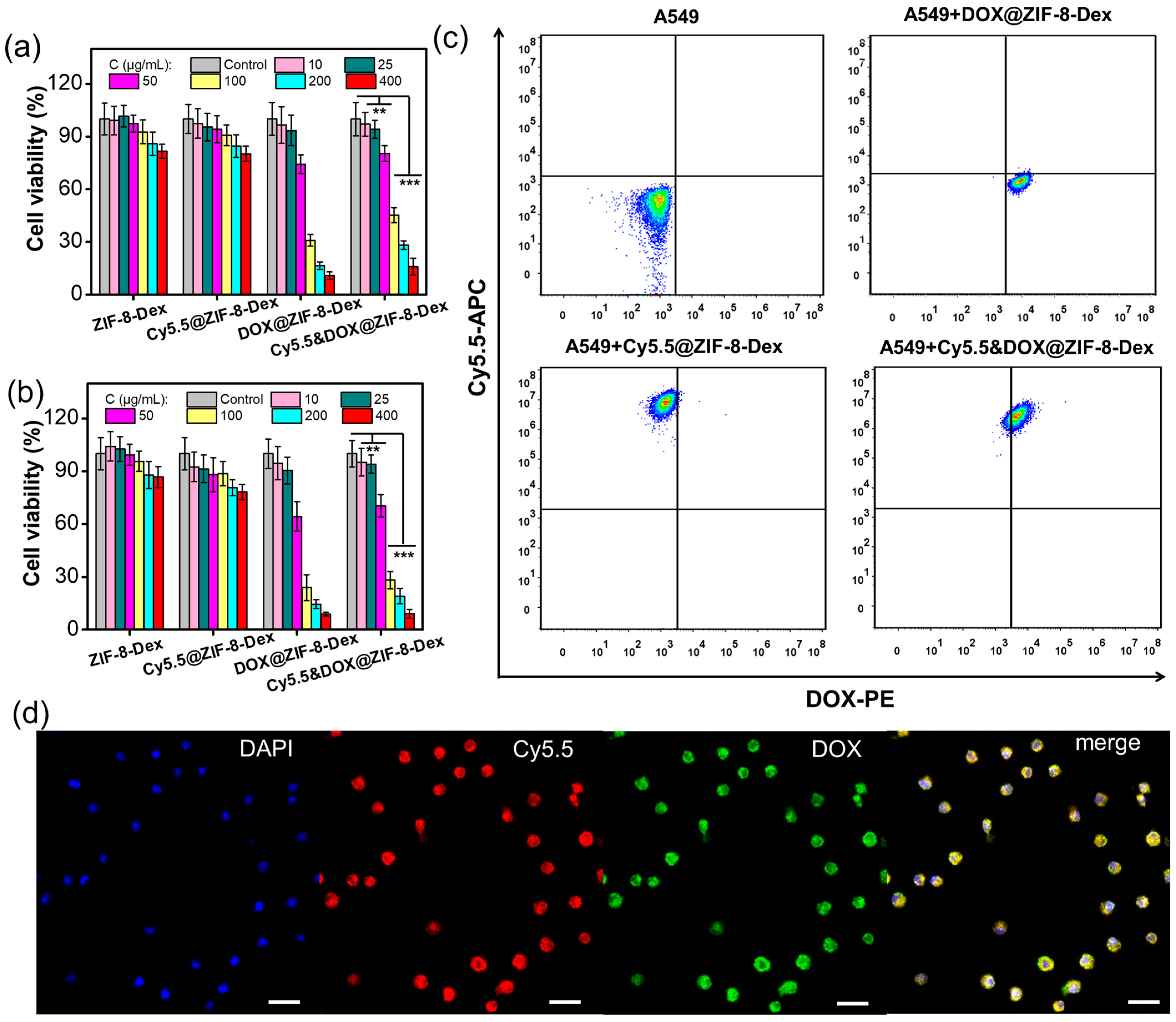 Pharmaceutics 16 00823 g004