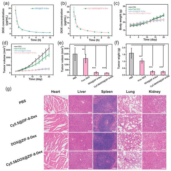 Acid-Responsive Decomposable Nanomedicine Based on Zeolitic
