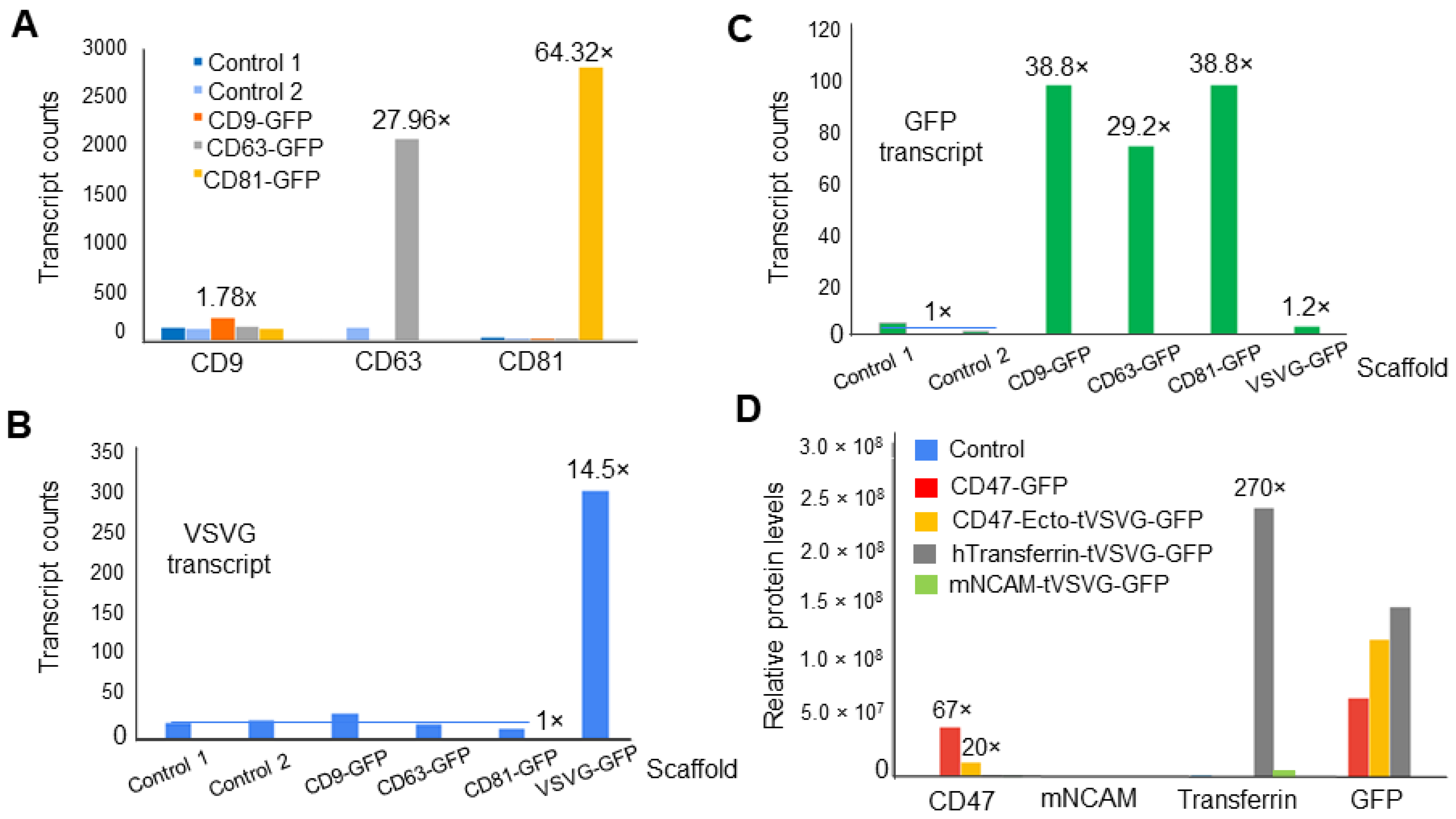 Pharmaceutics 16 00824 g004