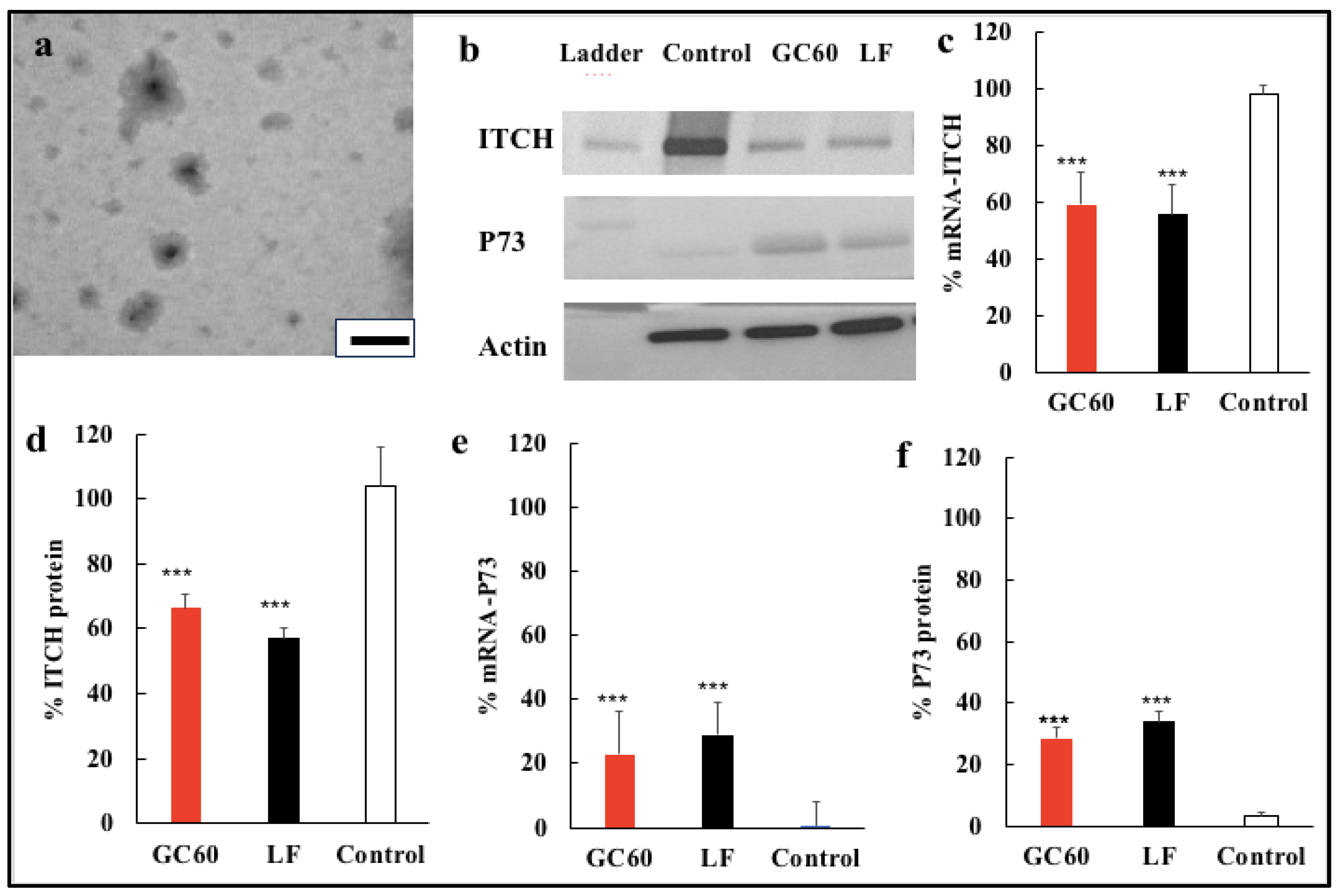 Pharmaceutics 16 00829 g001