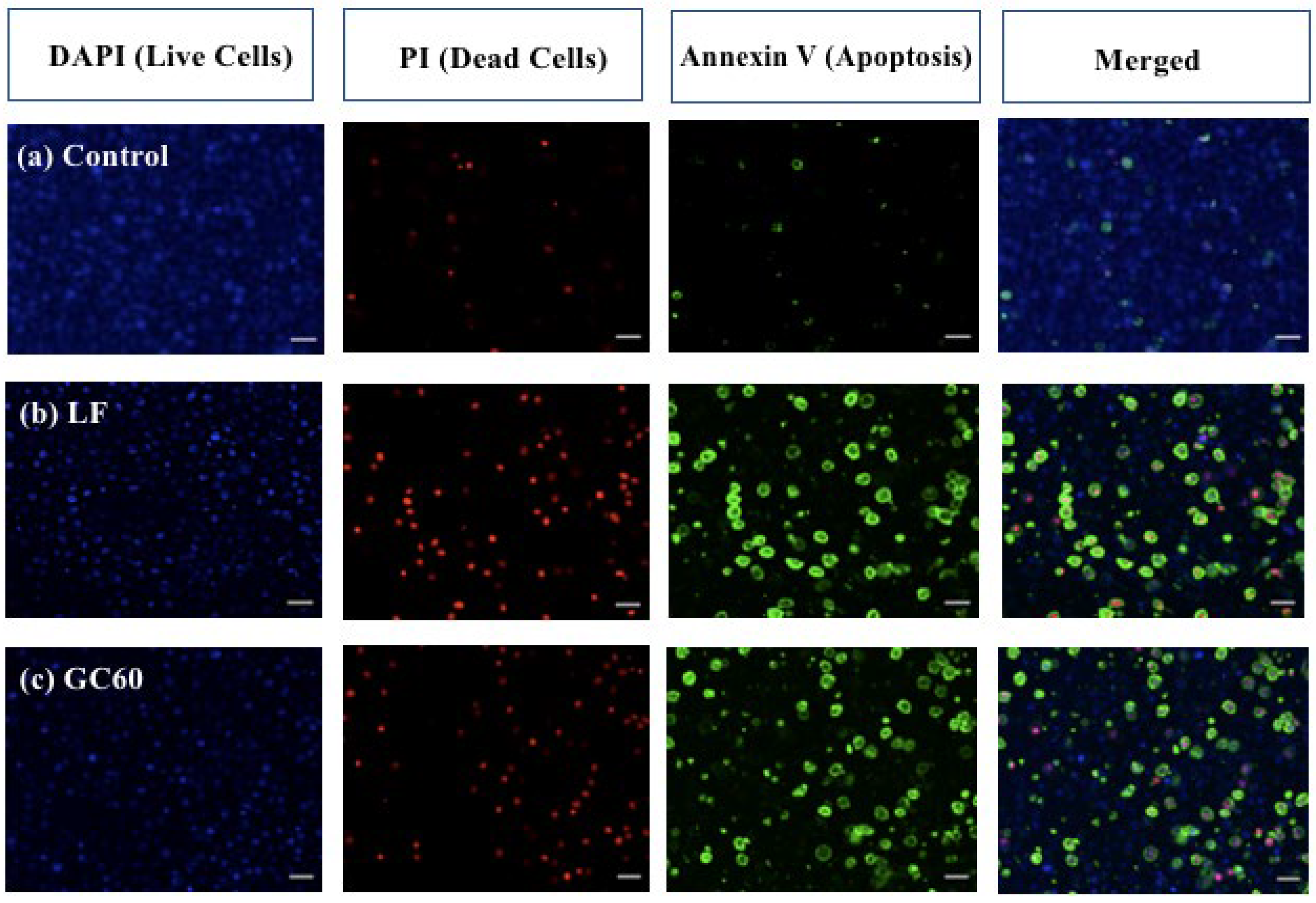 Pharmaceutics 16 00829 g003