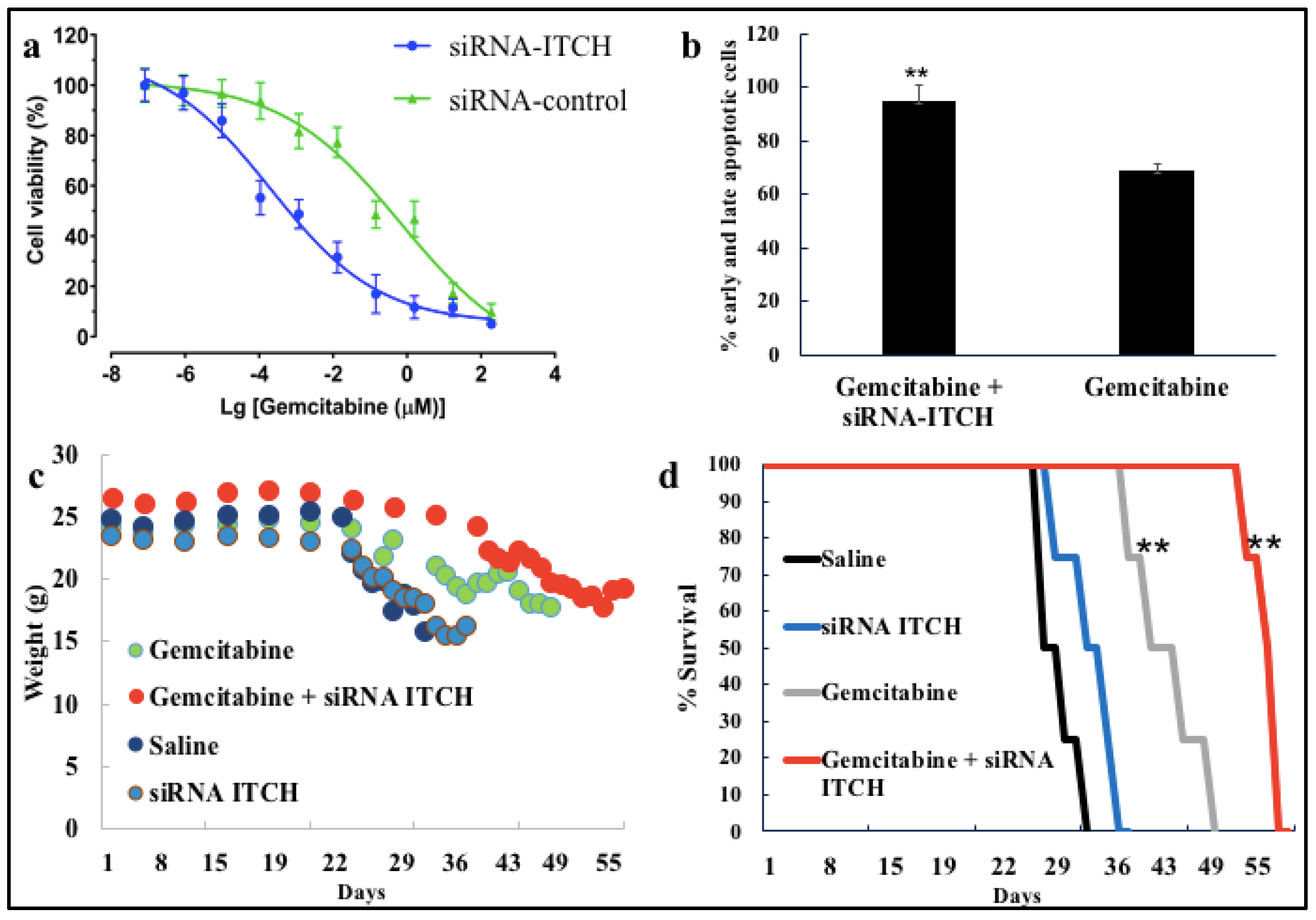 Pharmaceutics 16 00829 g004