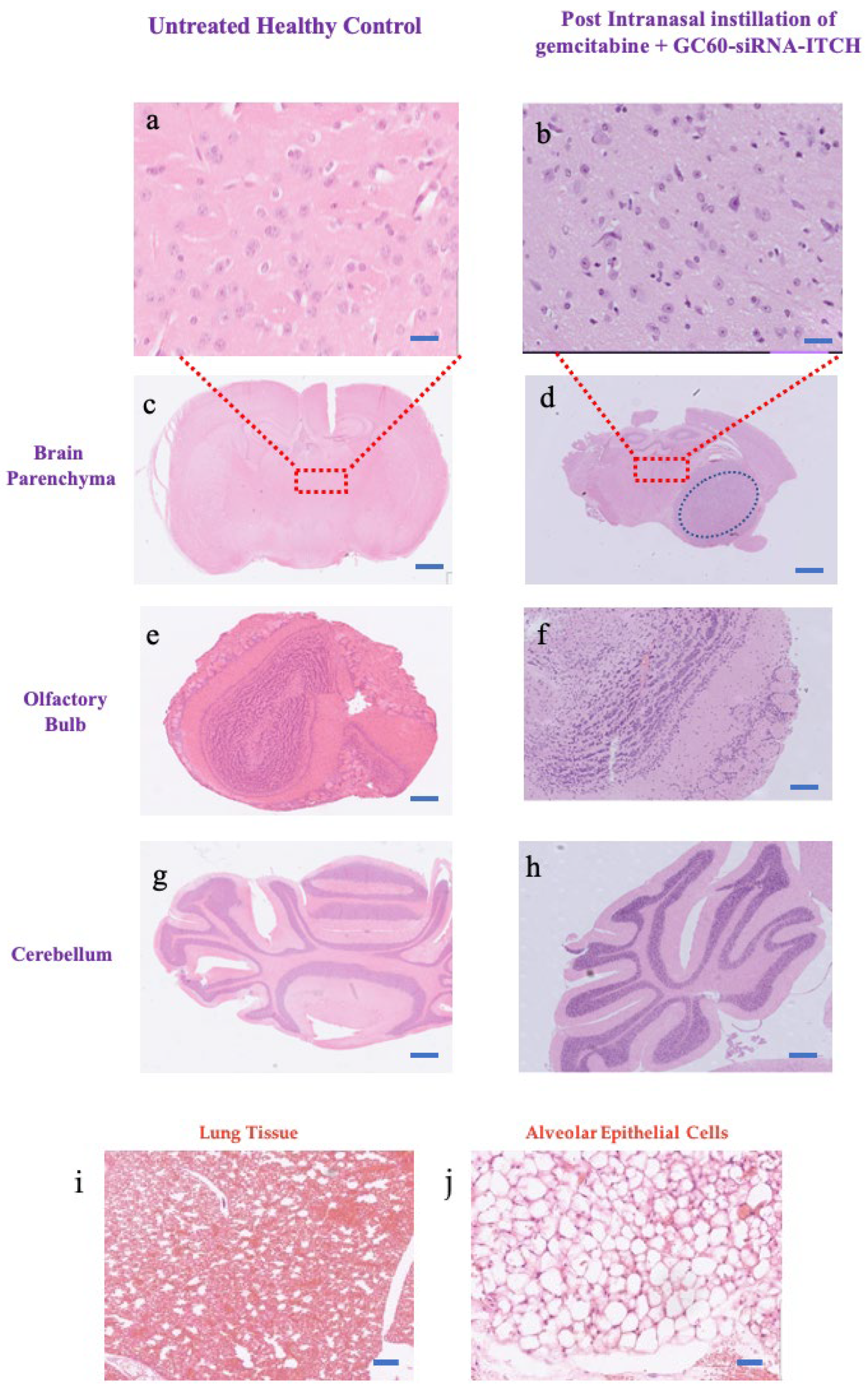 Pharmaceutics 16 00829 g006