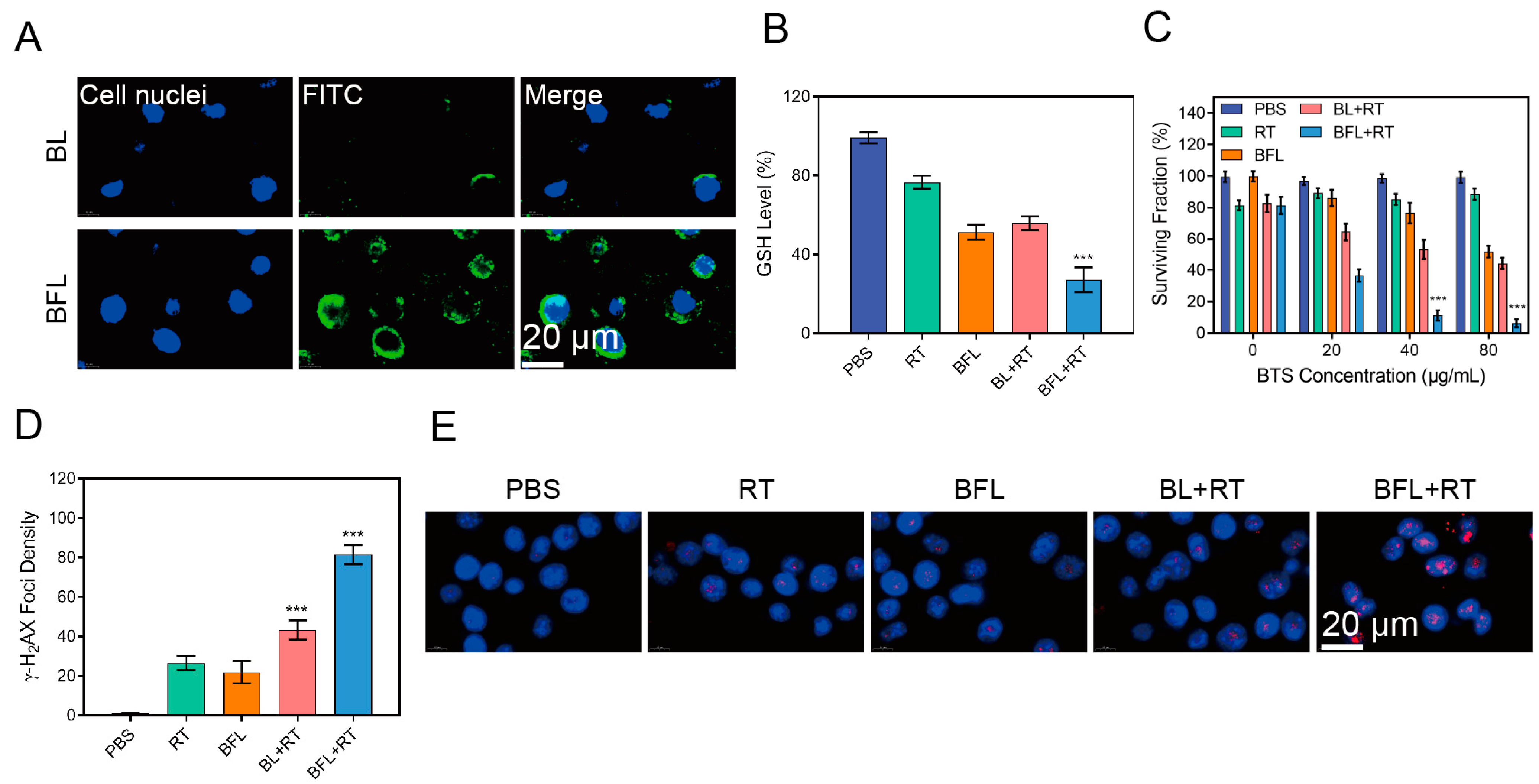 Pharmaceutics 16 00833 g002a