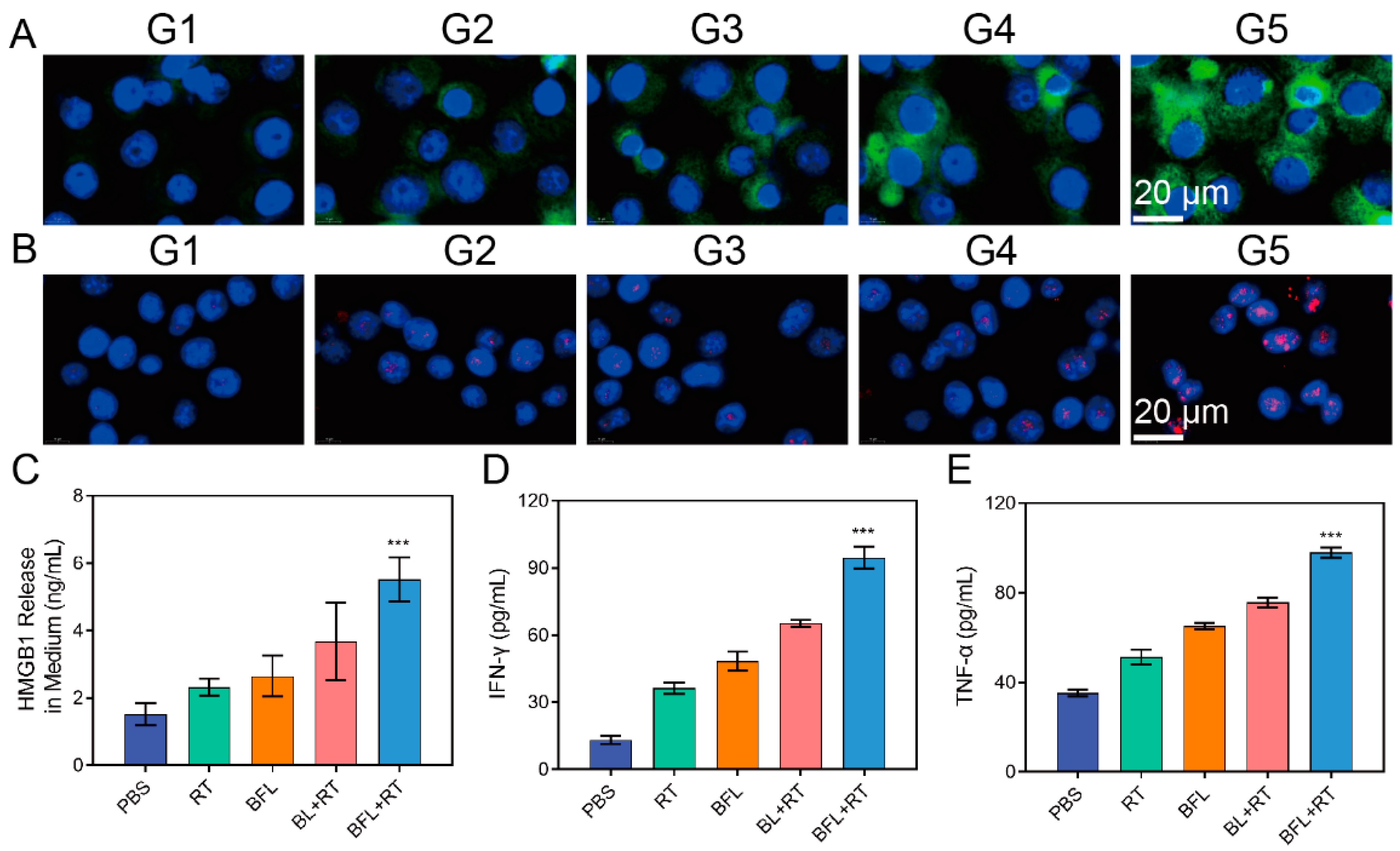 Pharmaceutics 16 00833 g003