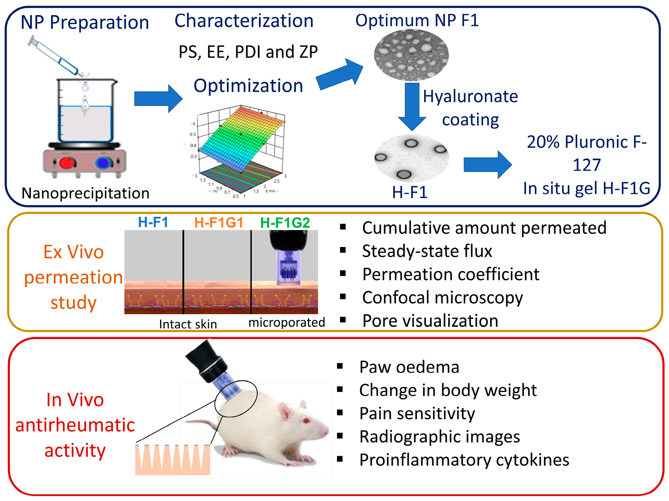 Pharmaceutics 16 00844 g001 Pharmaceutics 16 00844 g001
