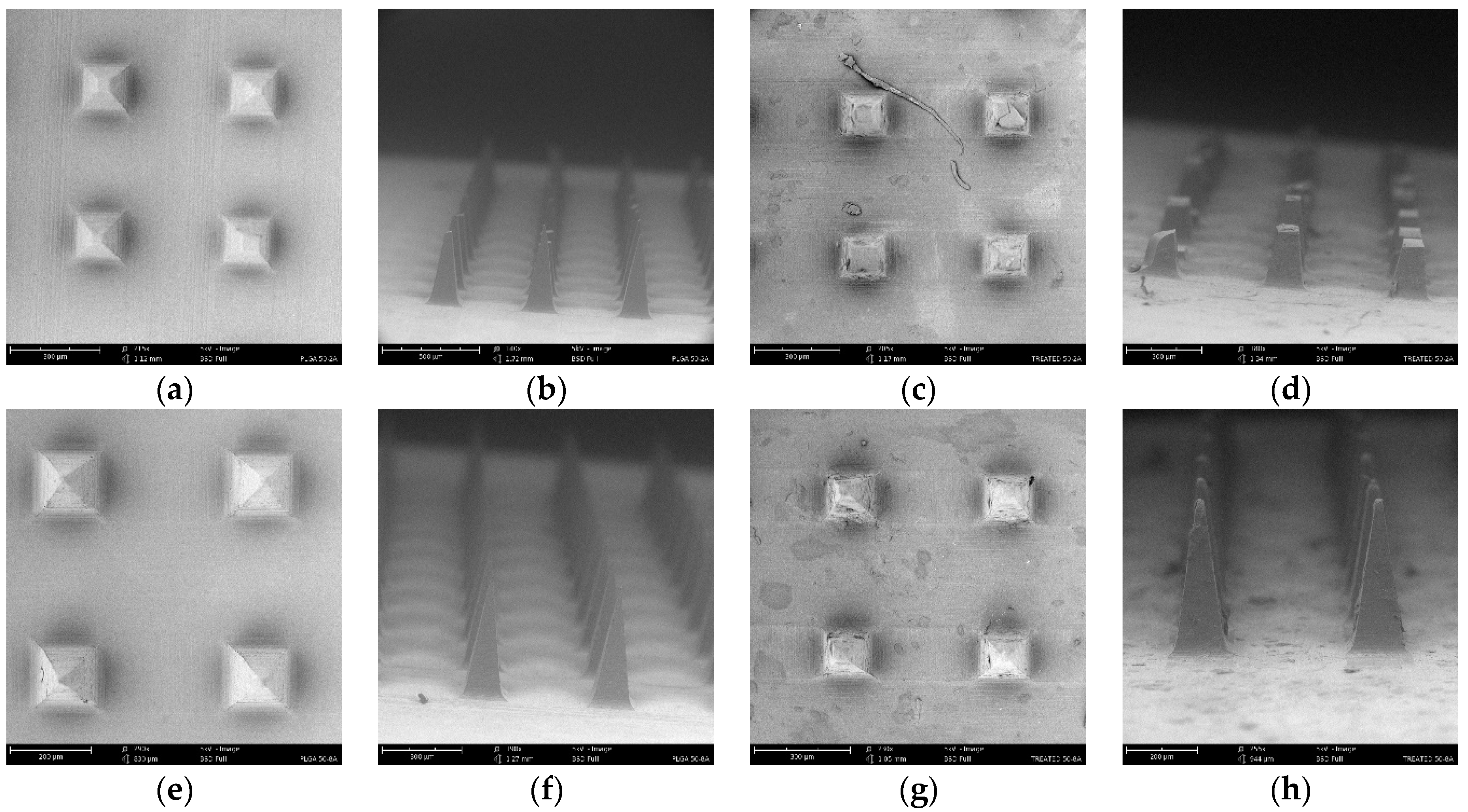 Pharmaceutics 16 00845 g002