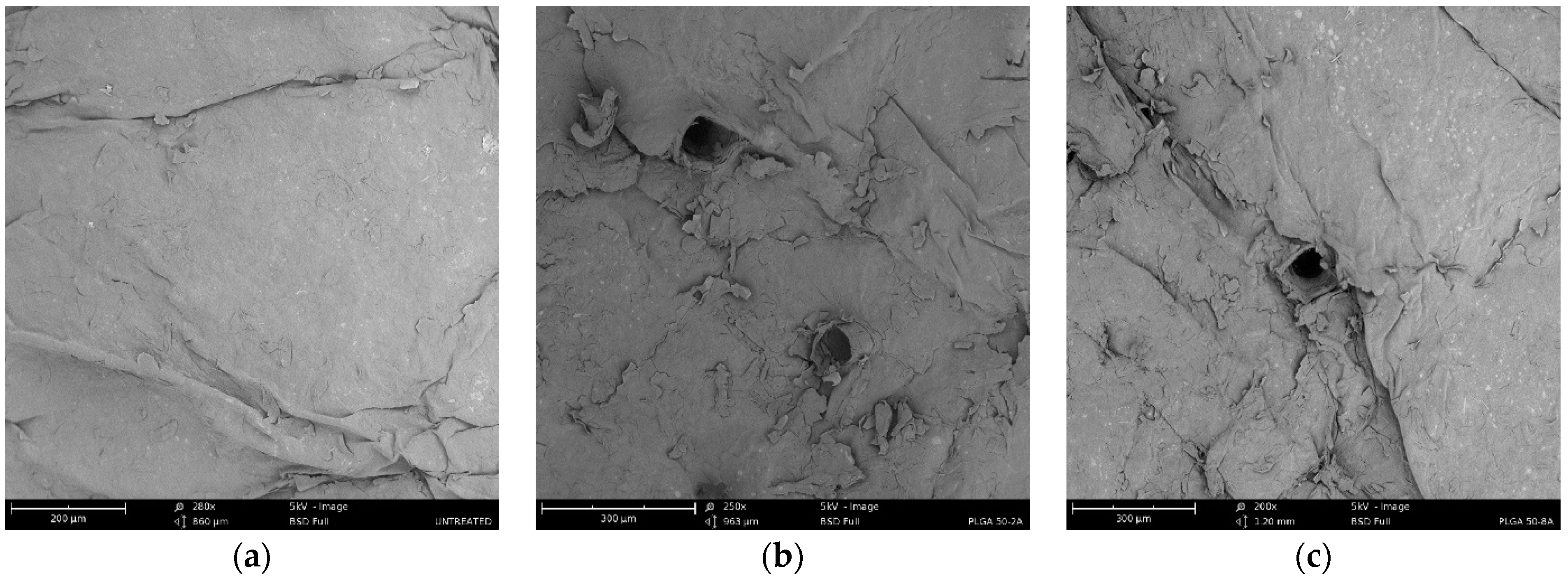 Pharmaceutics 16 00845 g003