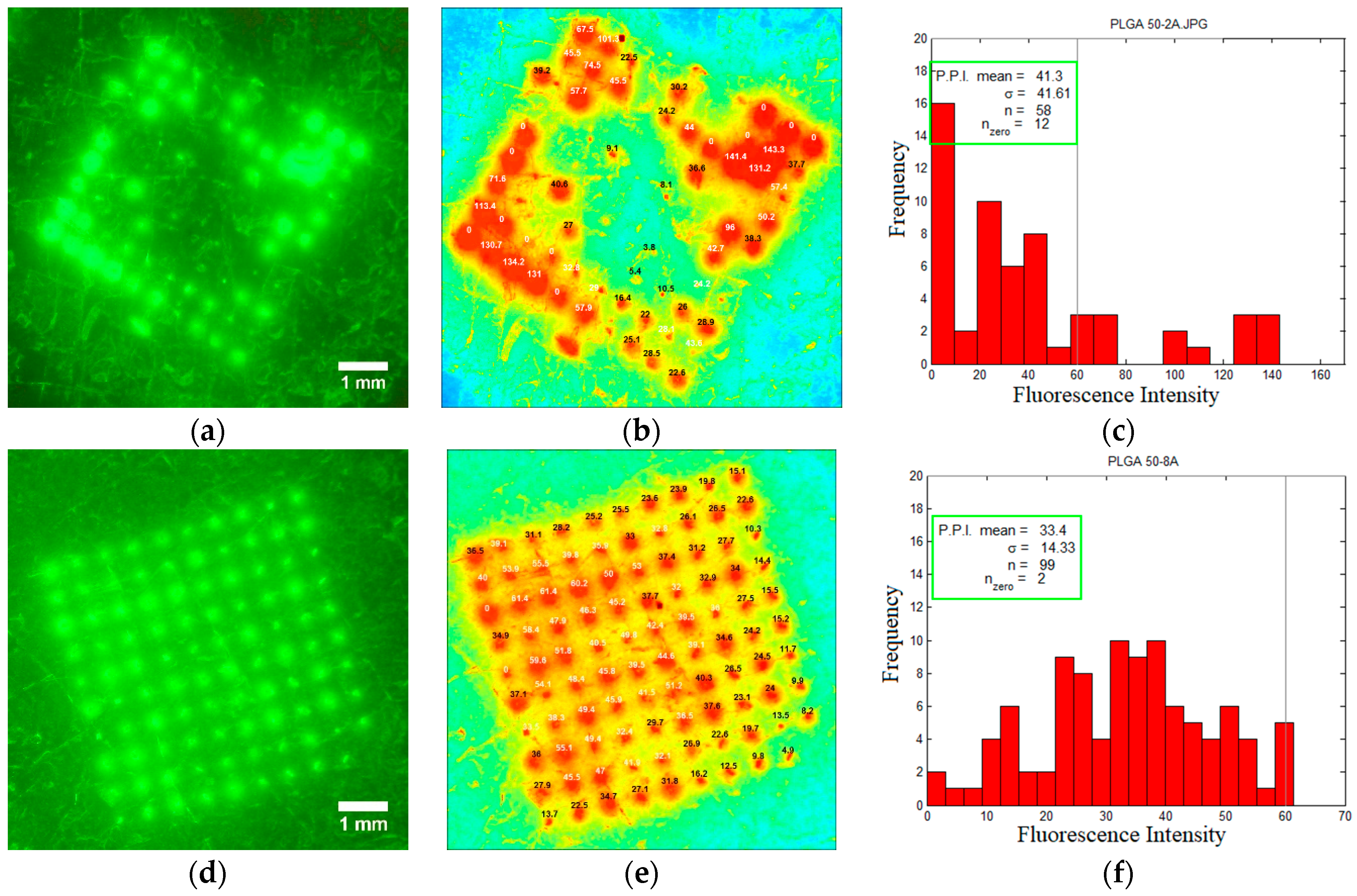 Pharmaceutics 16 00845 g008