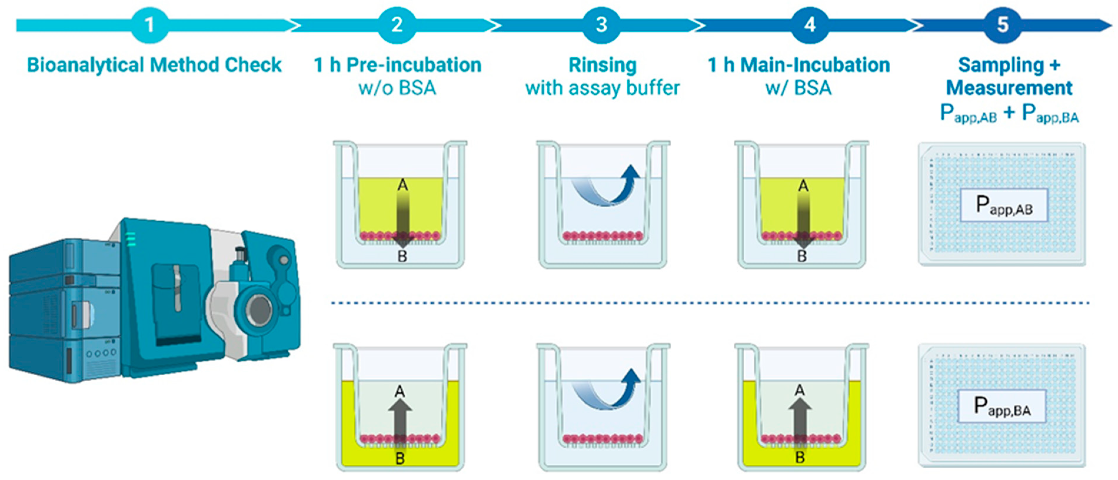 Pharmaceutics 16 00846 g001